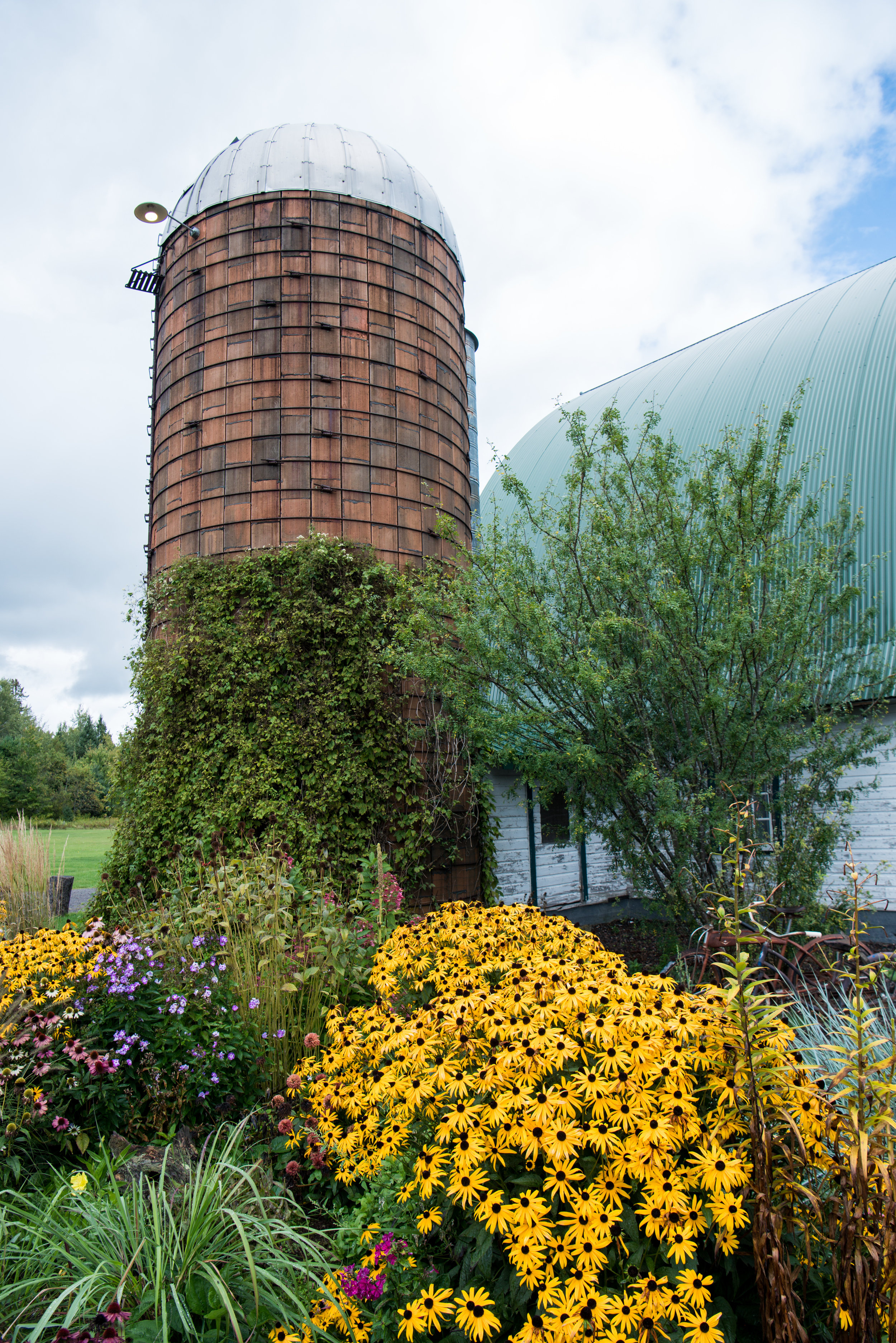 Barn
