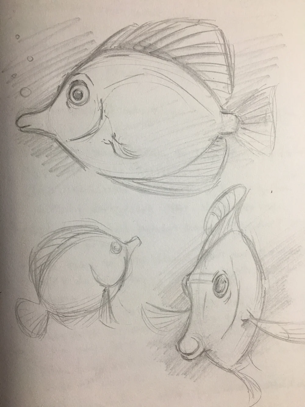 how to draw a yellow tang webfocusdeveloperstudiotutorial