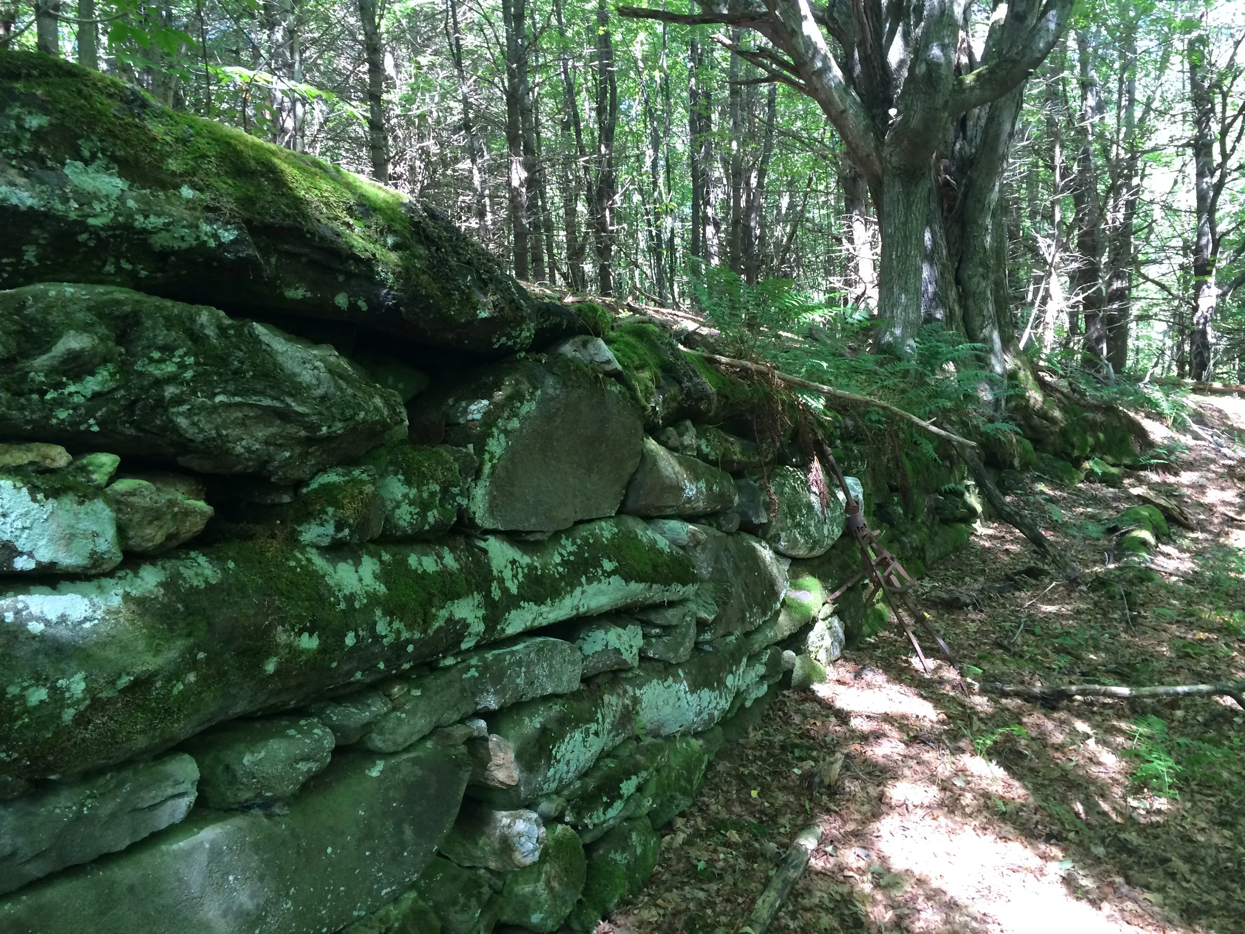 Cloudland Uplevel Hike