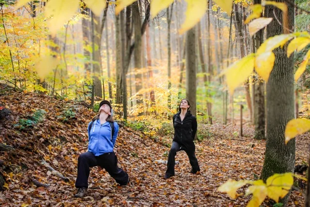 Outer Ecology/Inner Ecology: A Daylong Yoga Retreat