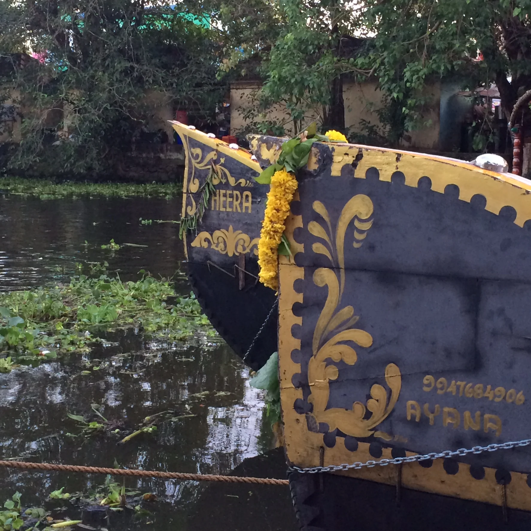 Backwater Canal, Alleppey, Kerala