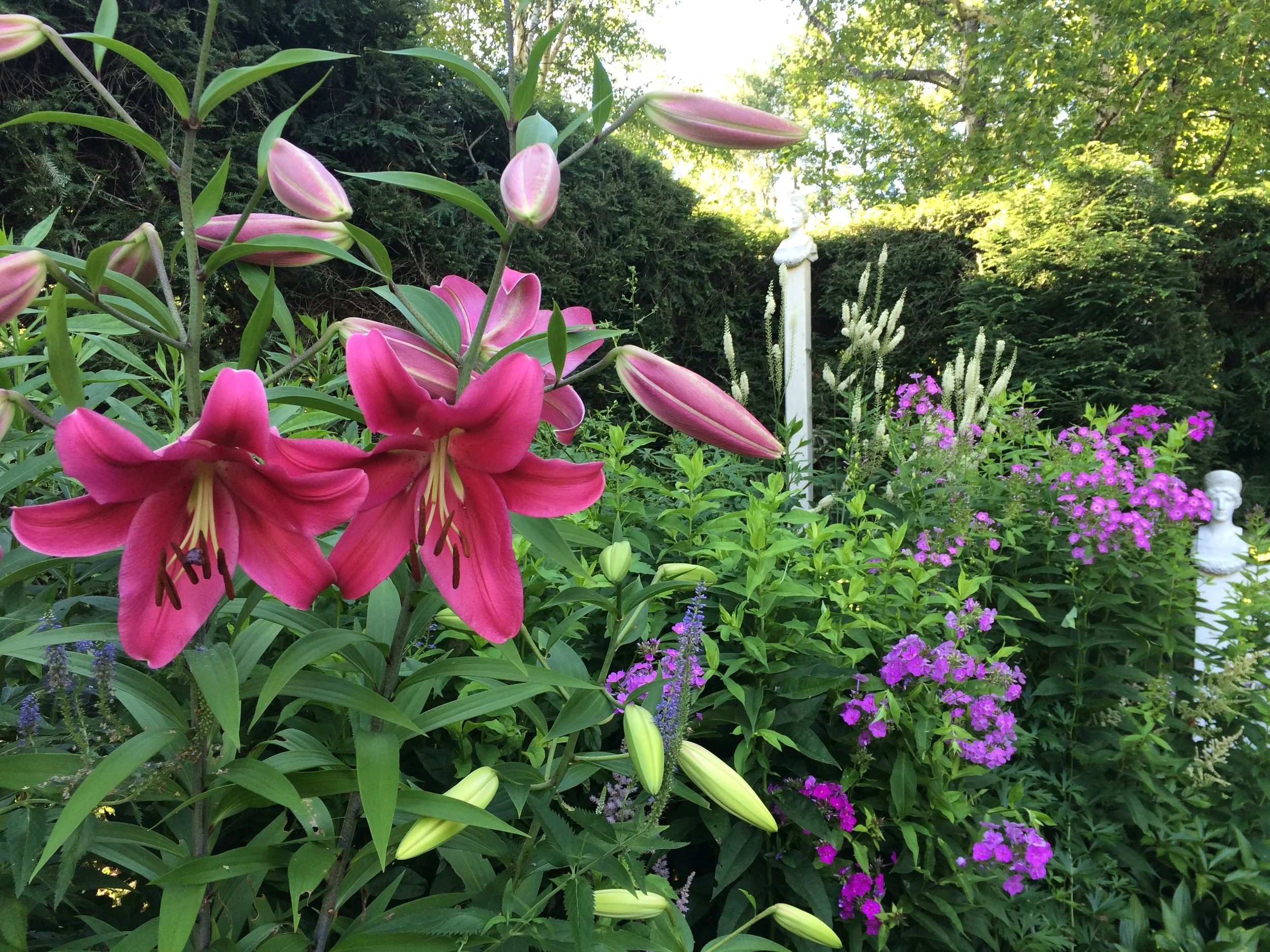 Garden Yoga: A Meditative Walk - POSTPONED!