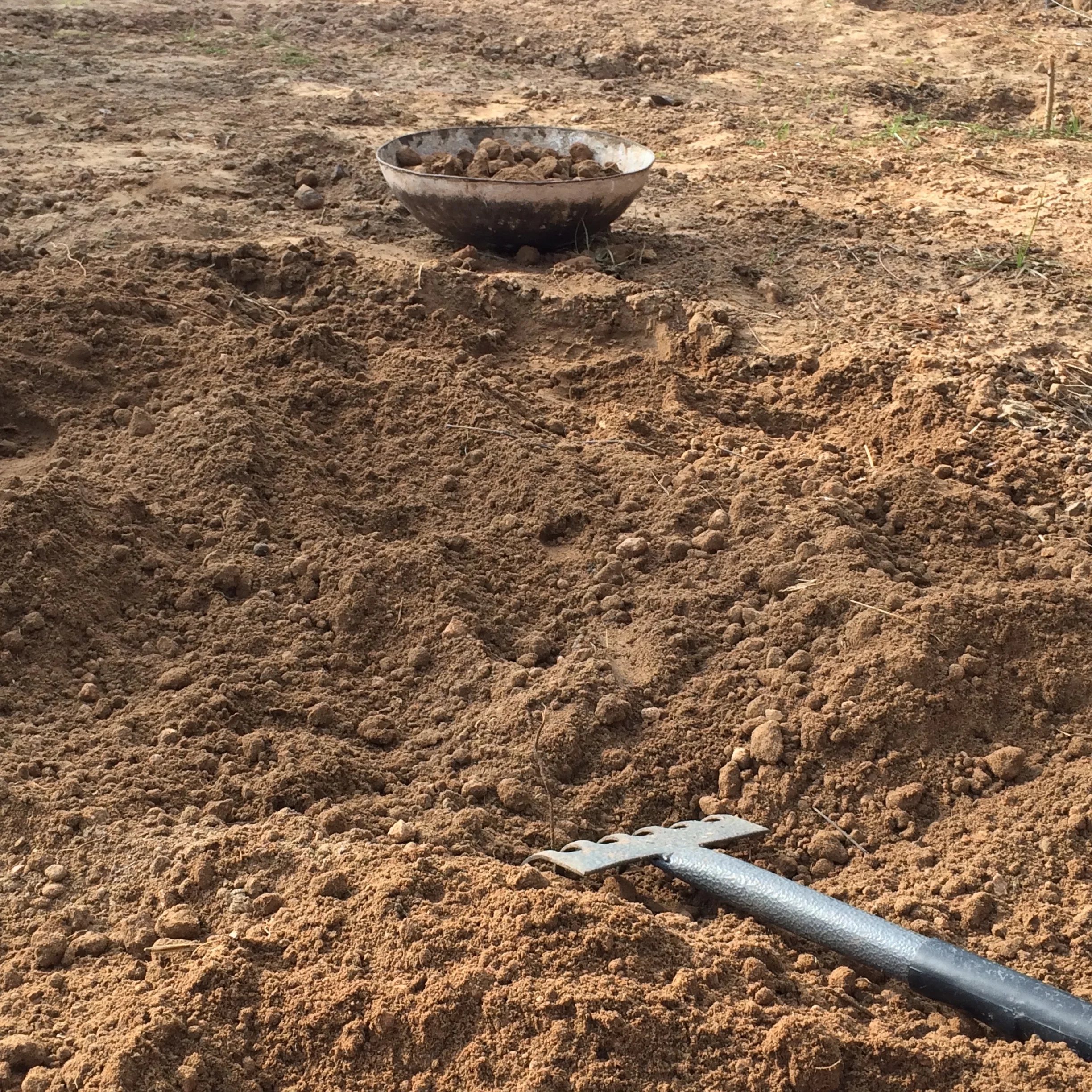 Yes, I really did dig up rocks.