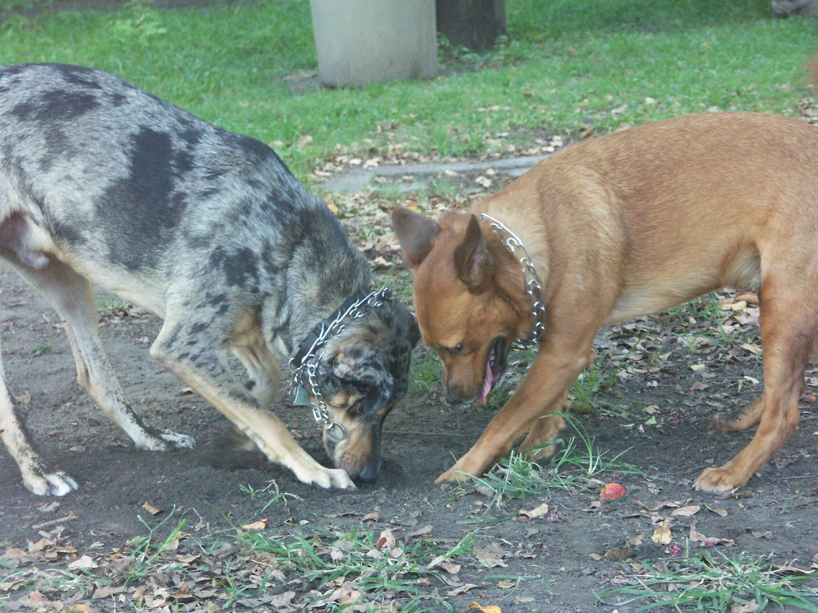 And digging. And digging, and digging. 
