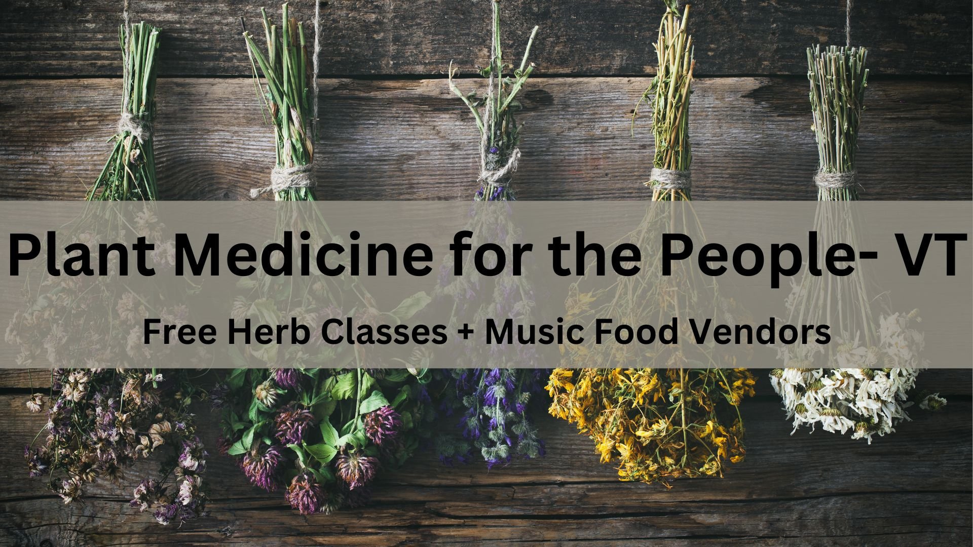 Massage at Plant Medicine for the People