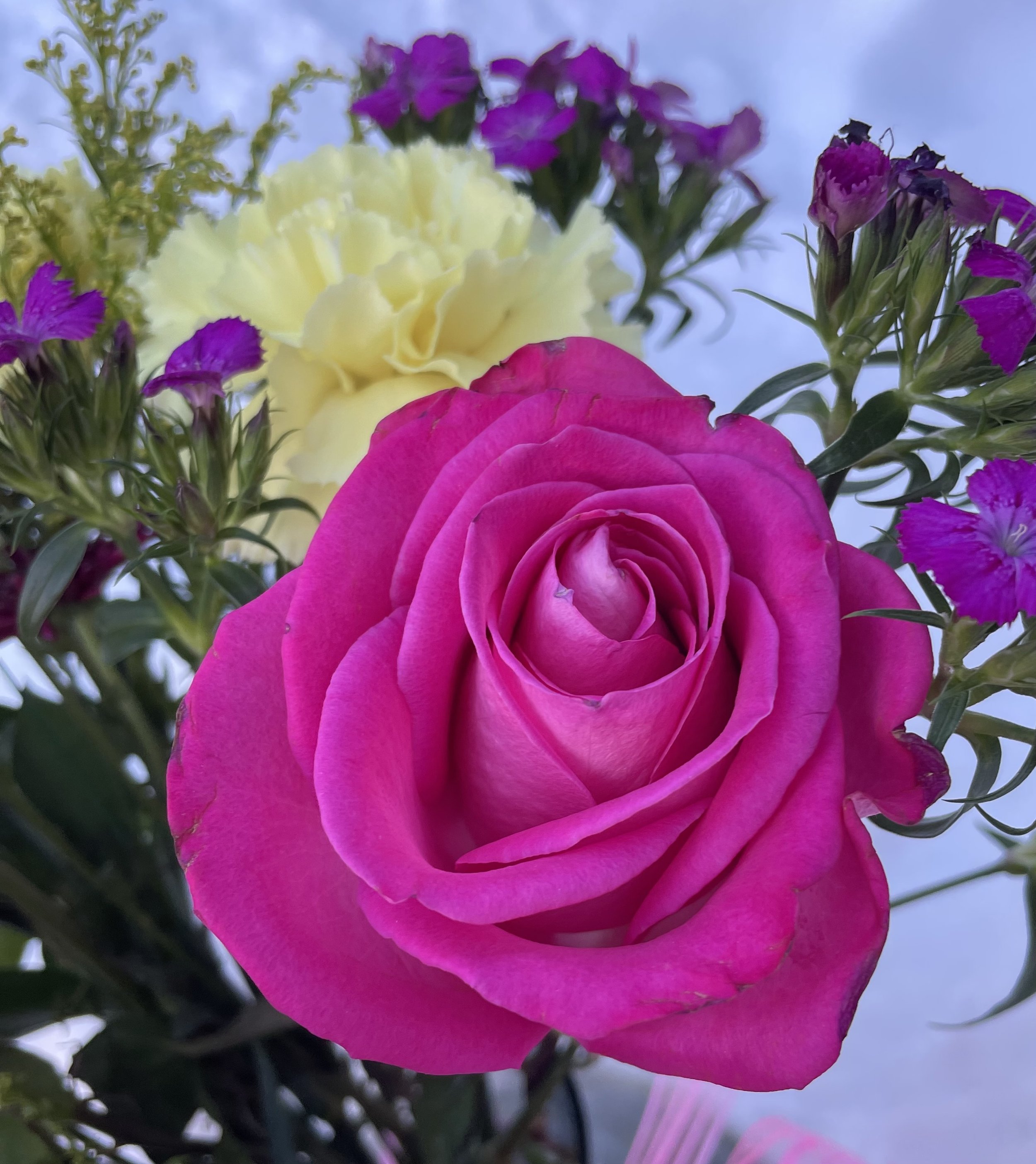 17 Days of SELF LOVE: The 2026 New Year's Daily Yoga Challenge!