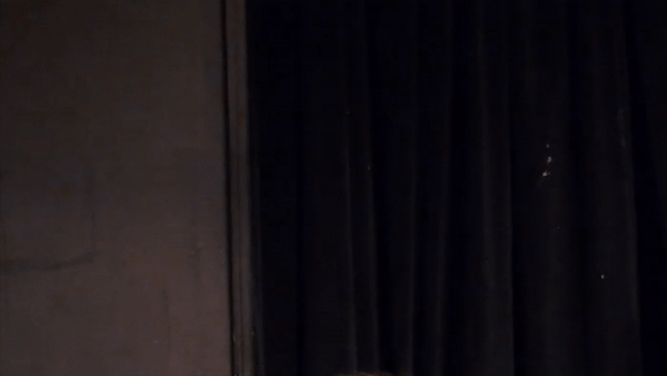 UCB Babeeee! House of Birds