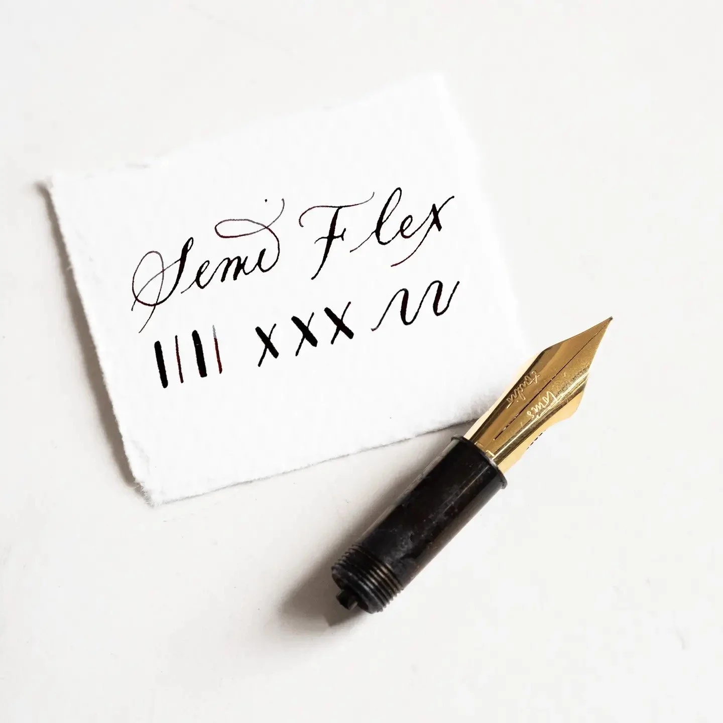 Tom's Studio Gold Semi-Flex Nib