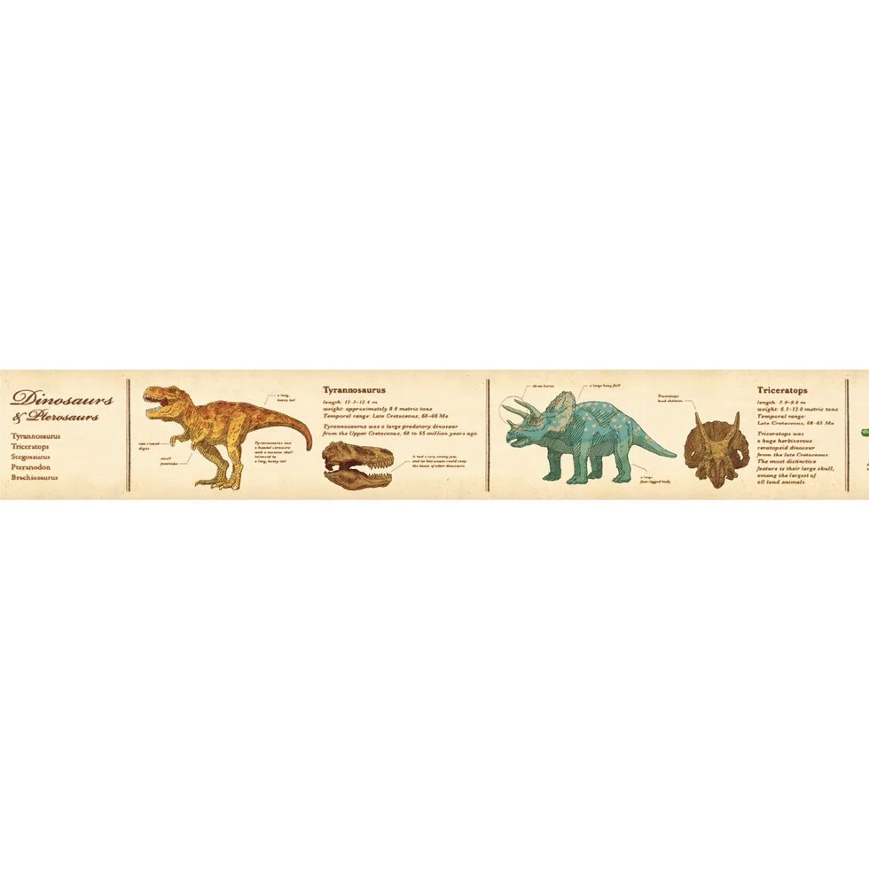 Encyclopedia Dinosaur 2.jpg