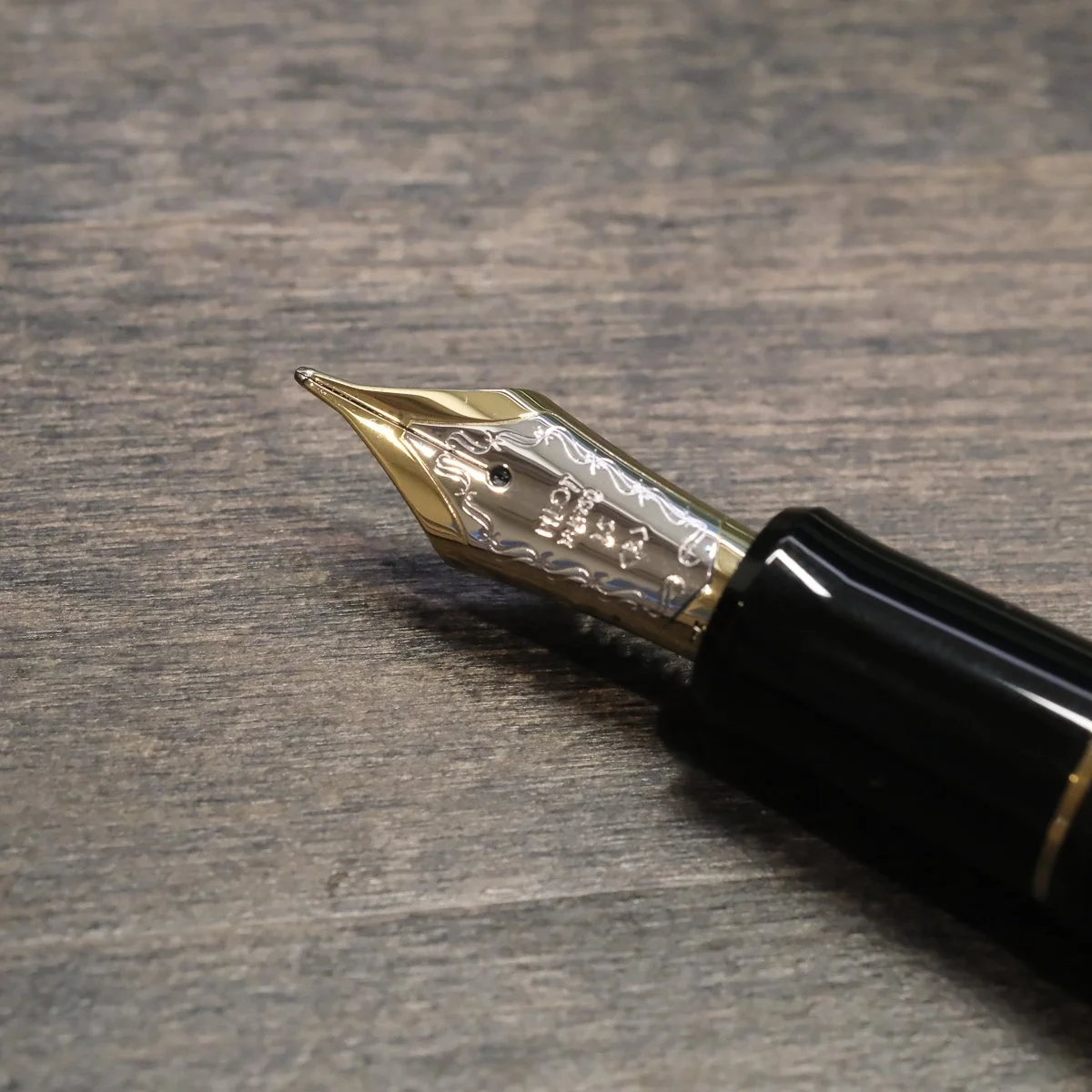 Pilot Nib photographed up close