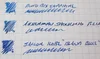 Ink Review: Bung Box Sapphire (or, The Best Blue Ink Ever!) — The ...