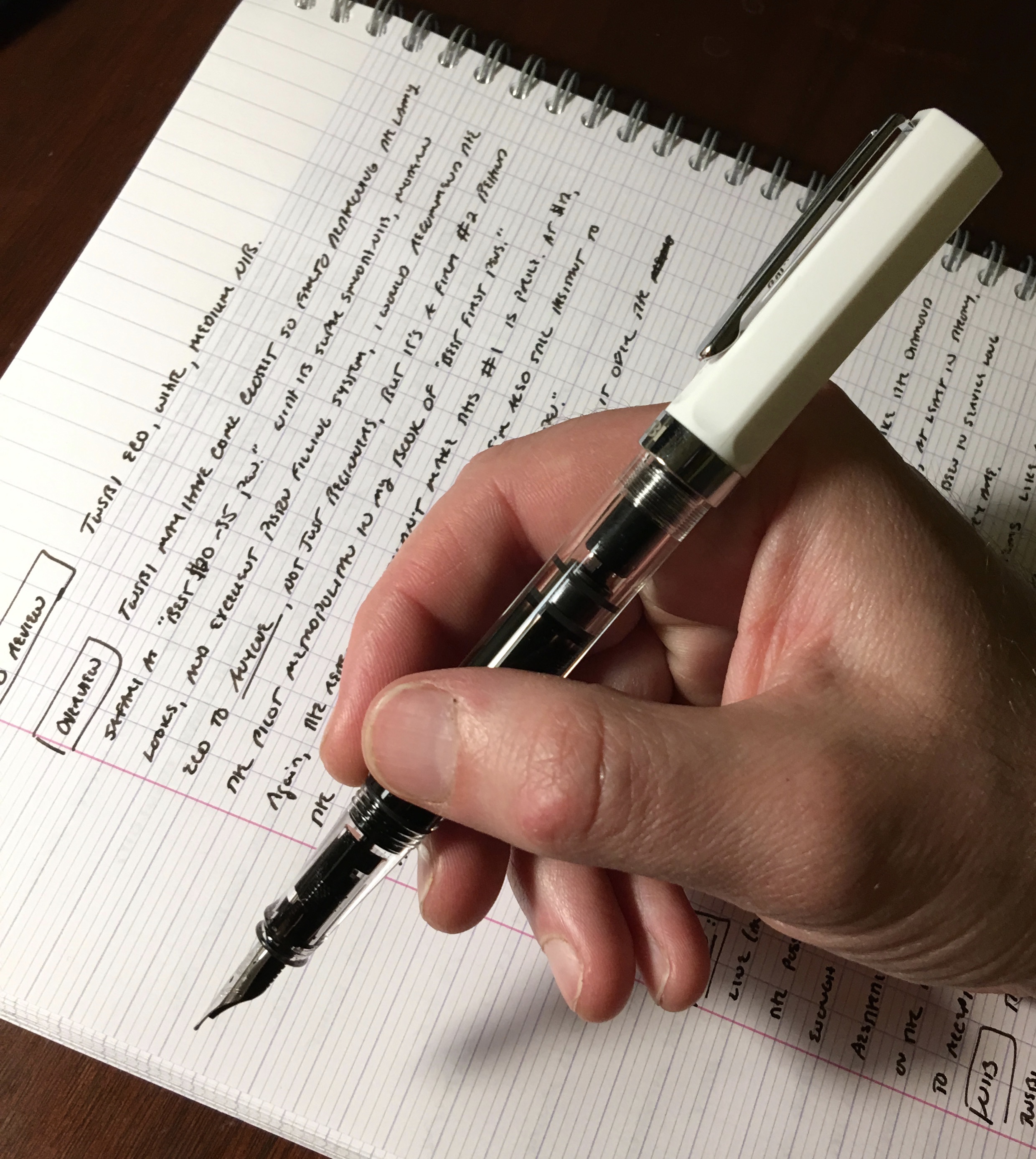 Review] TWSBI ECO Fountain Pen + Platinum Carbon Ink — coffee+scribbles -  botanical illustrator and stationery