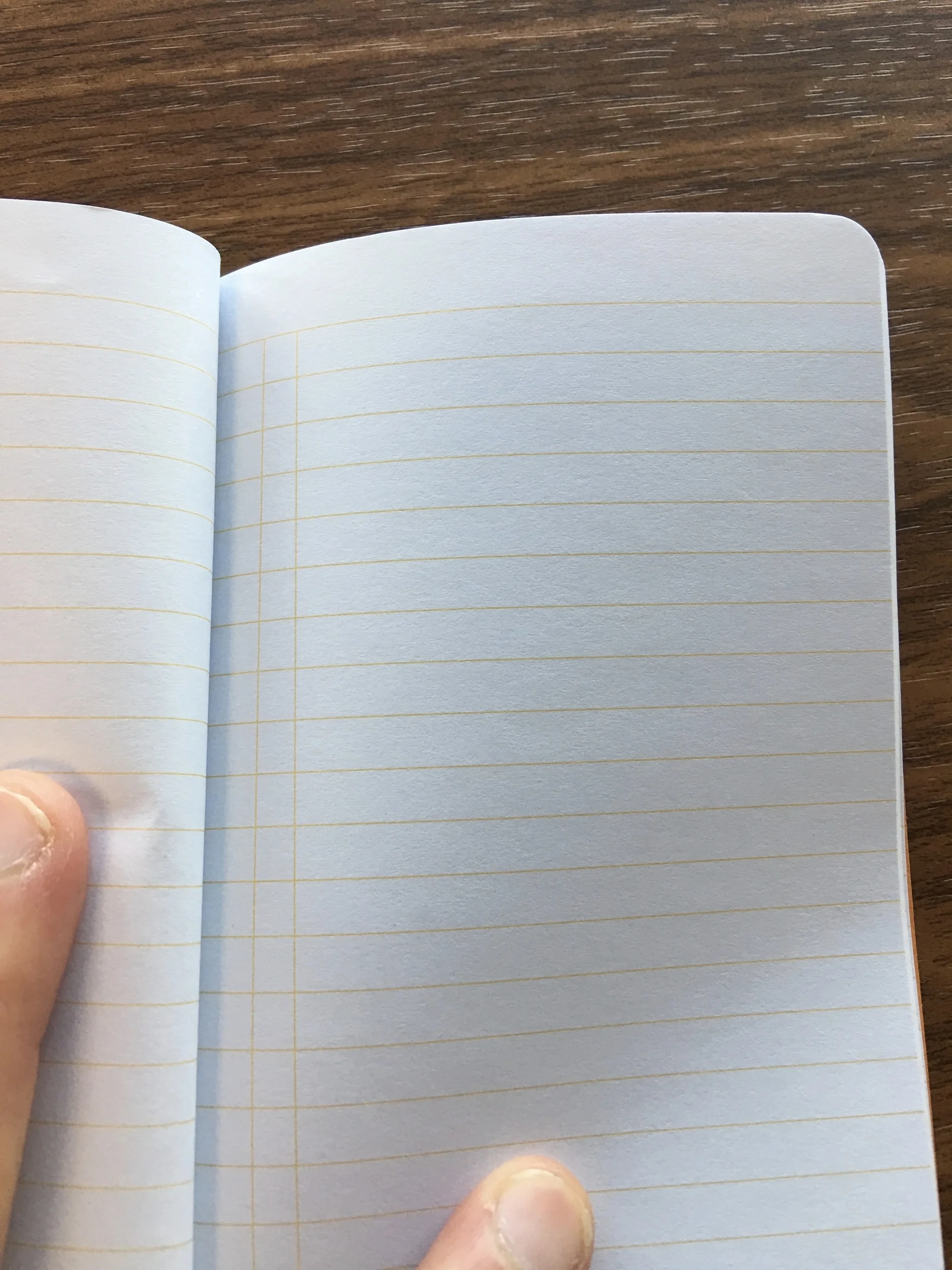 Ruled paper isn't typically my favorite, but I do like the "boxes" in the left-hand margin, which makes this notebook good for bullet journal-style lists.