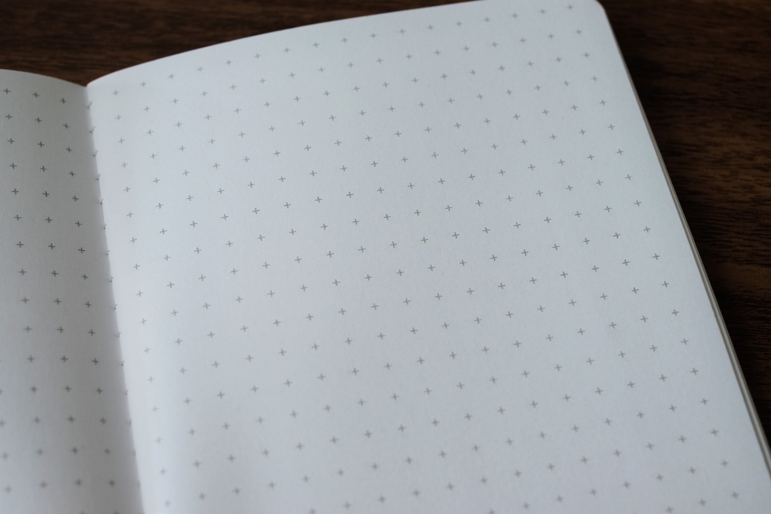 Honey Bee Travelers Notebook Insert - Midori Refill - Graph Paper