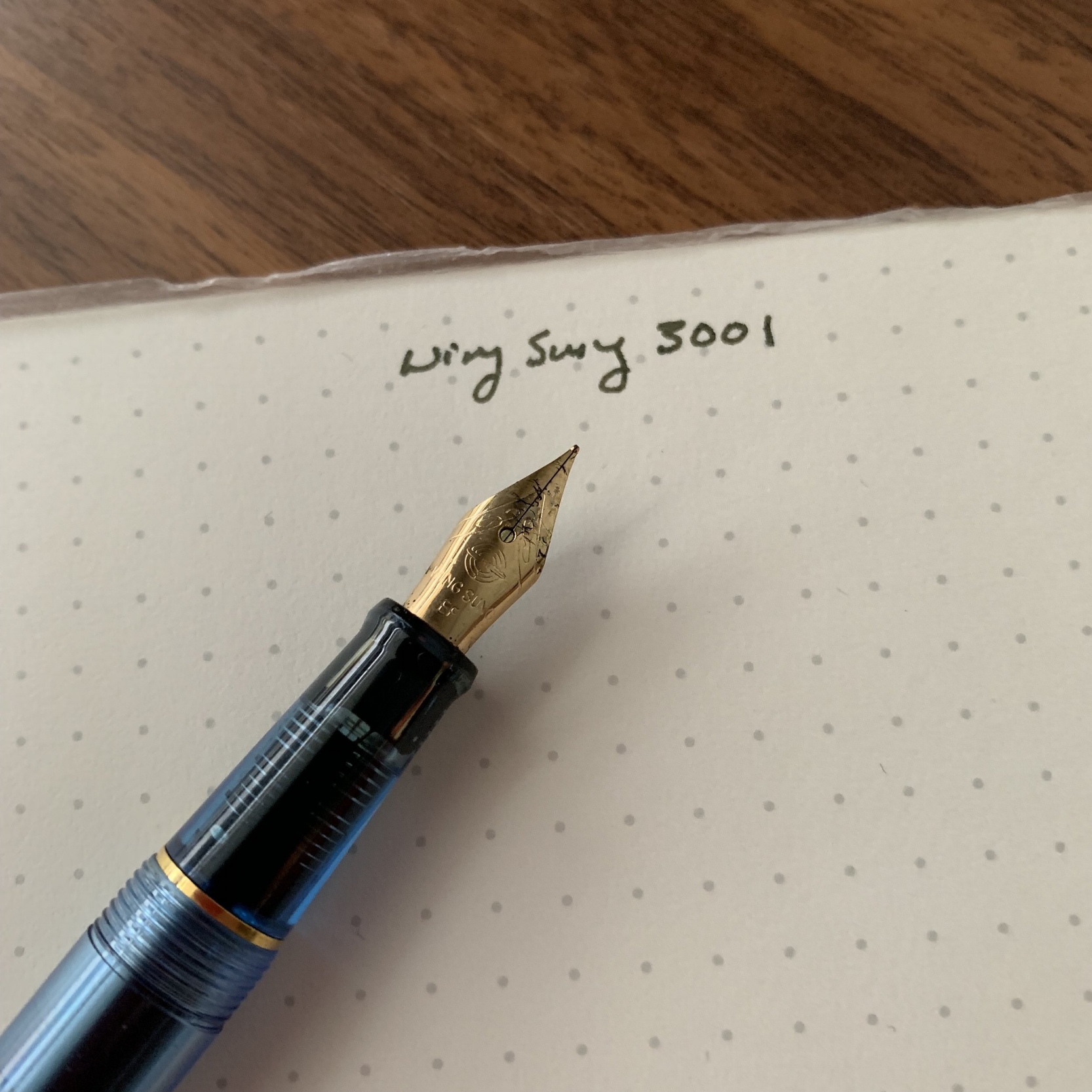 Wing Sung 9159 Fountain Pen Fine Nib Screw Cap Golden Clip 4 Colors For Choice 