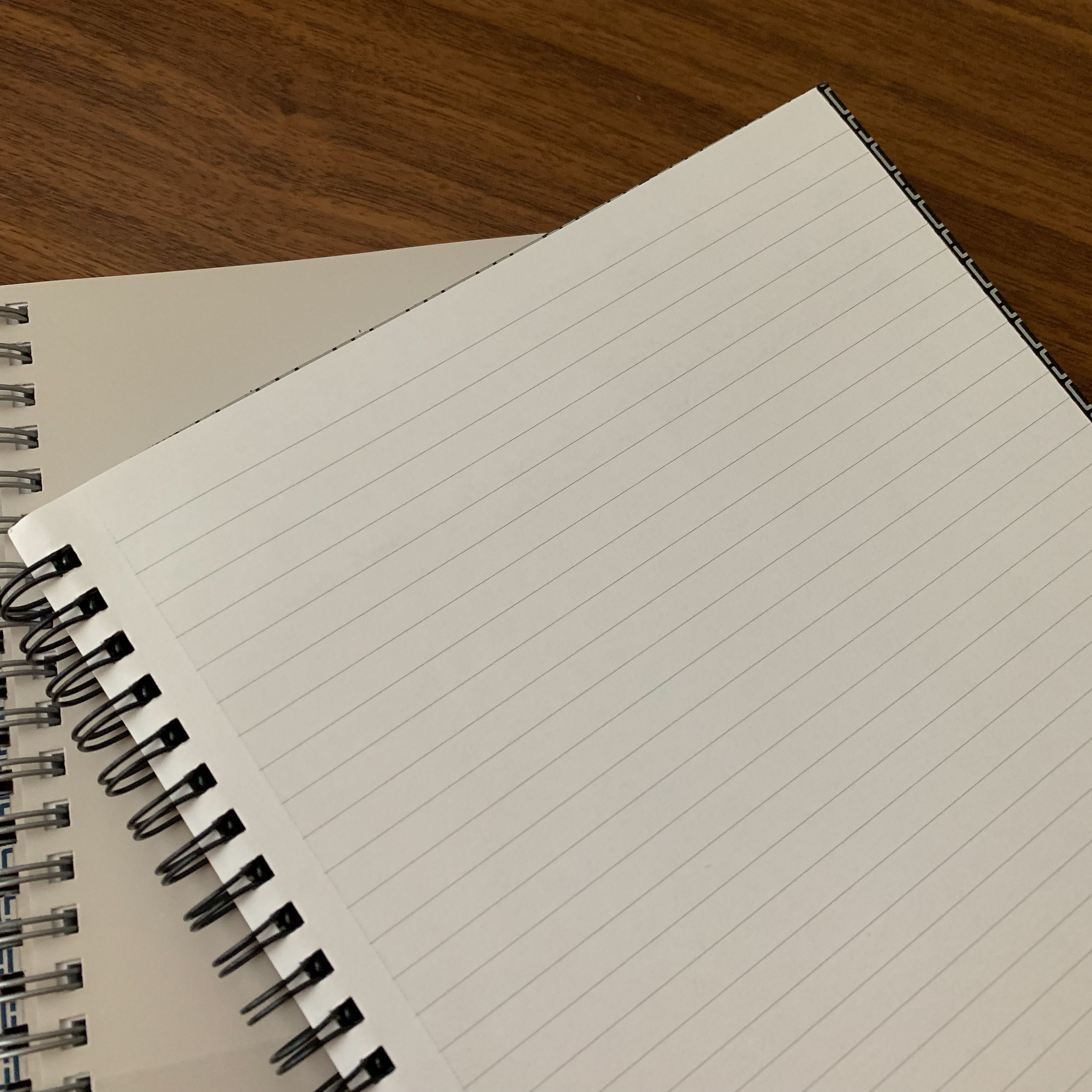 Ballpoint Pen and Blank Paper Notebook with Spiral Binding as