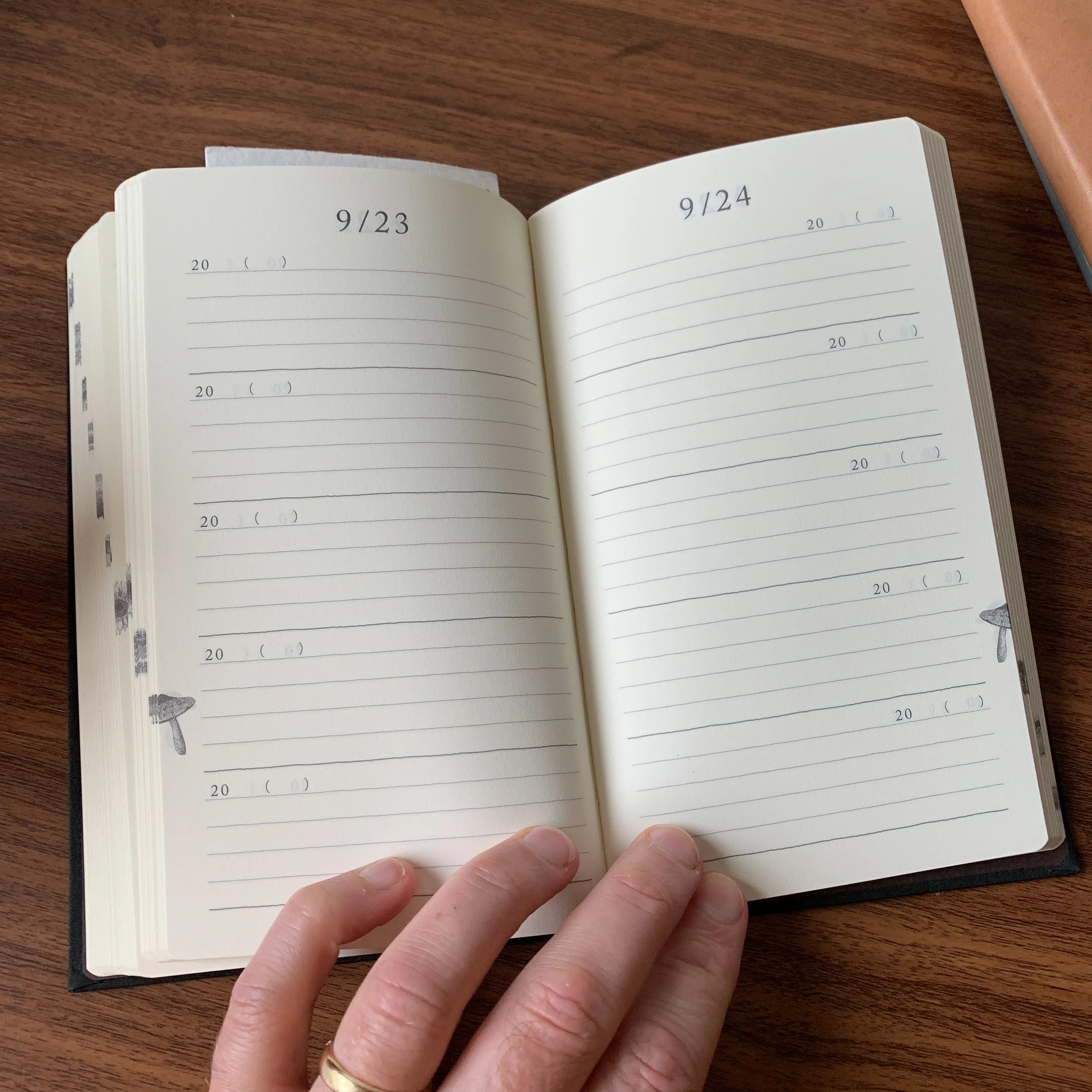 My 2019 Journaling Setup Nanami Paper Cafe Note and Midori 5Years