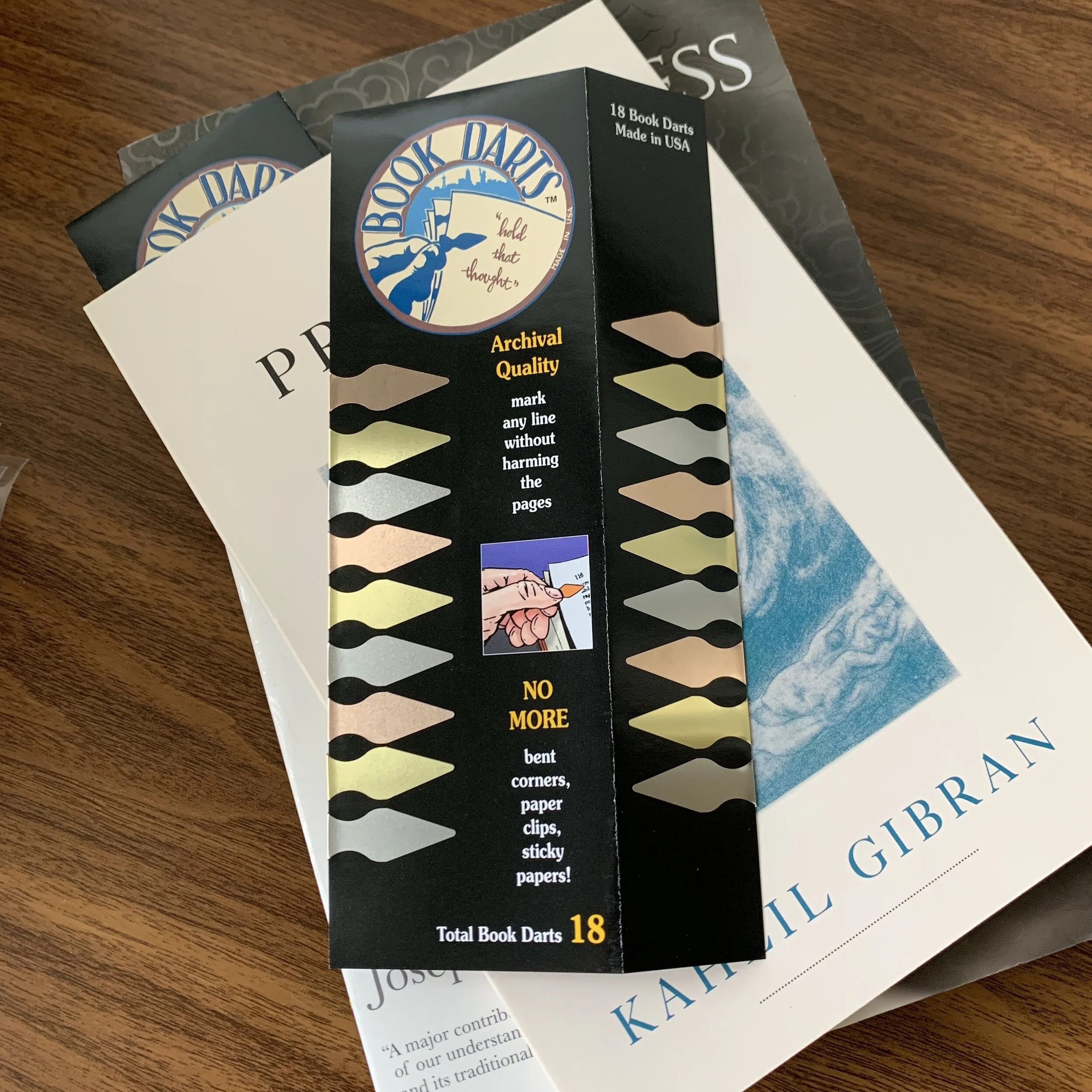 Book Darts 18-Dart Sleeve, unfolded