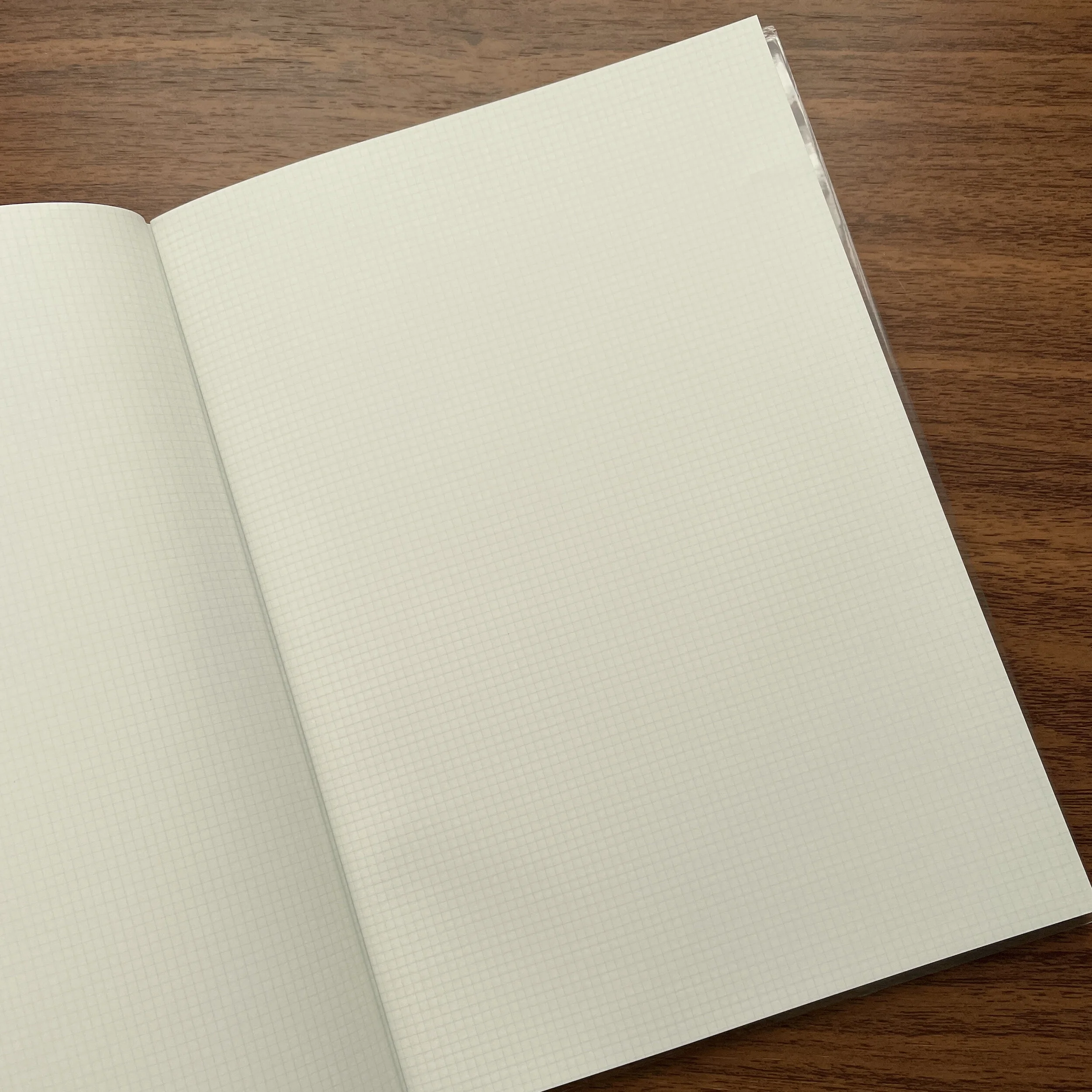 Life Paper White