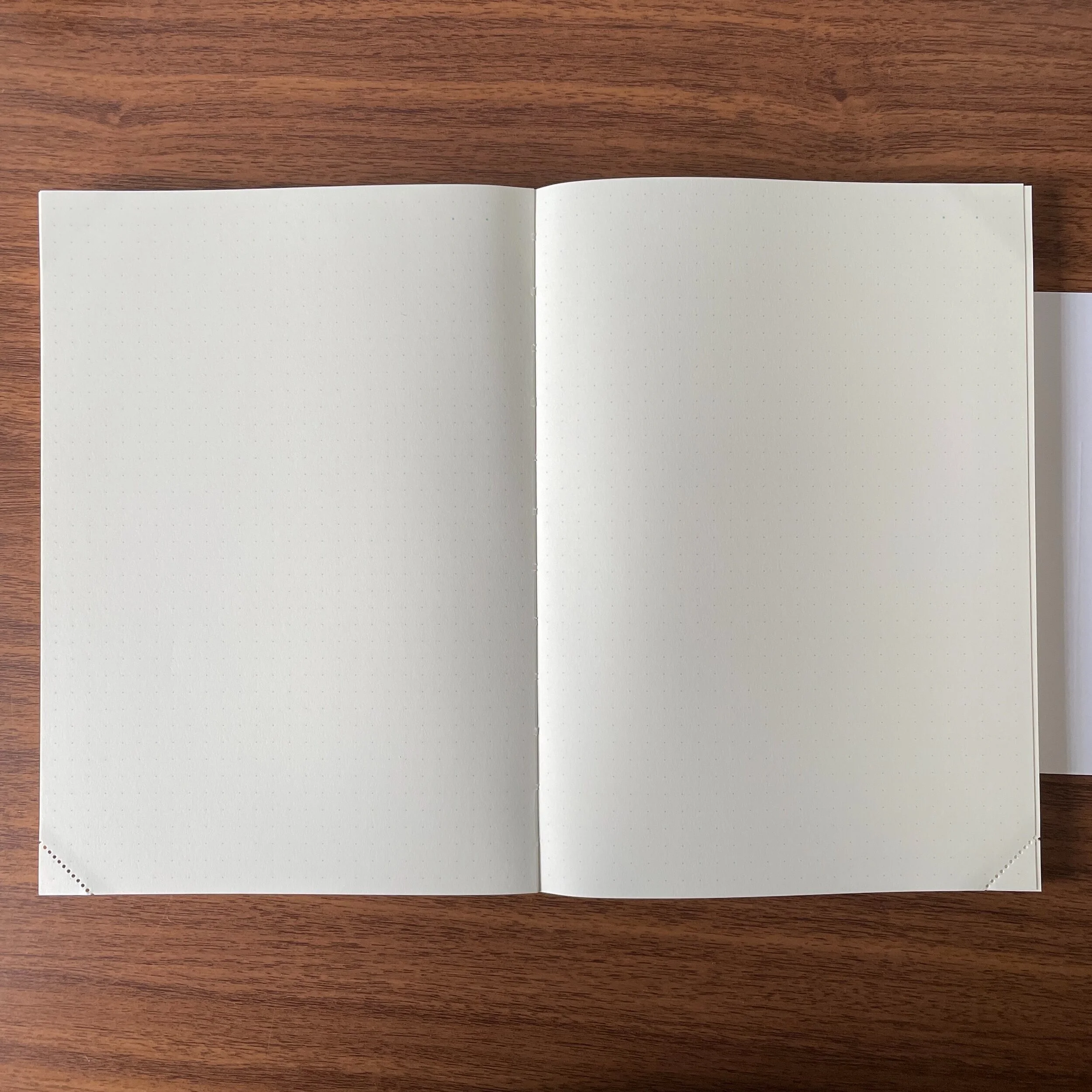 Midori MD Notebook Journal Codex Dot Grid