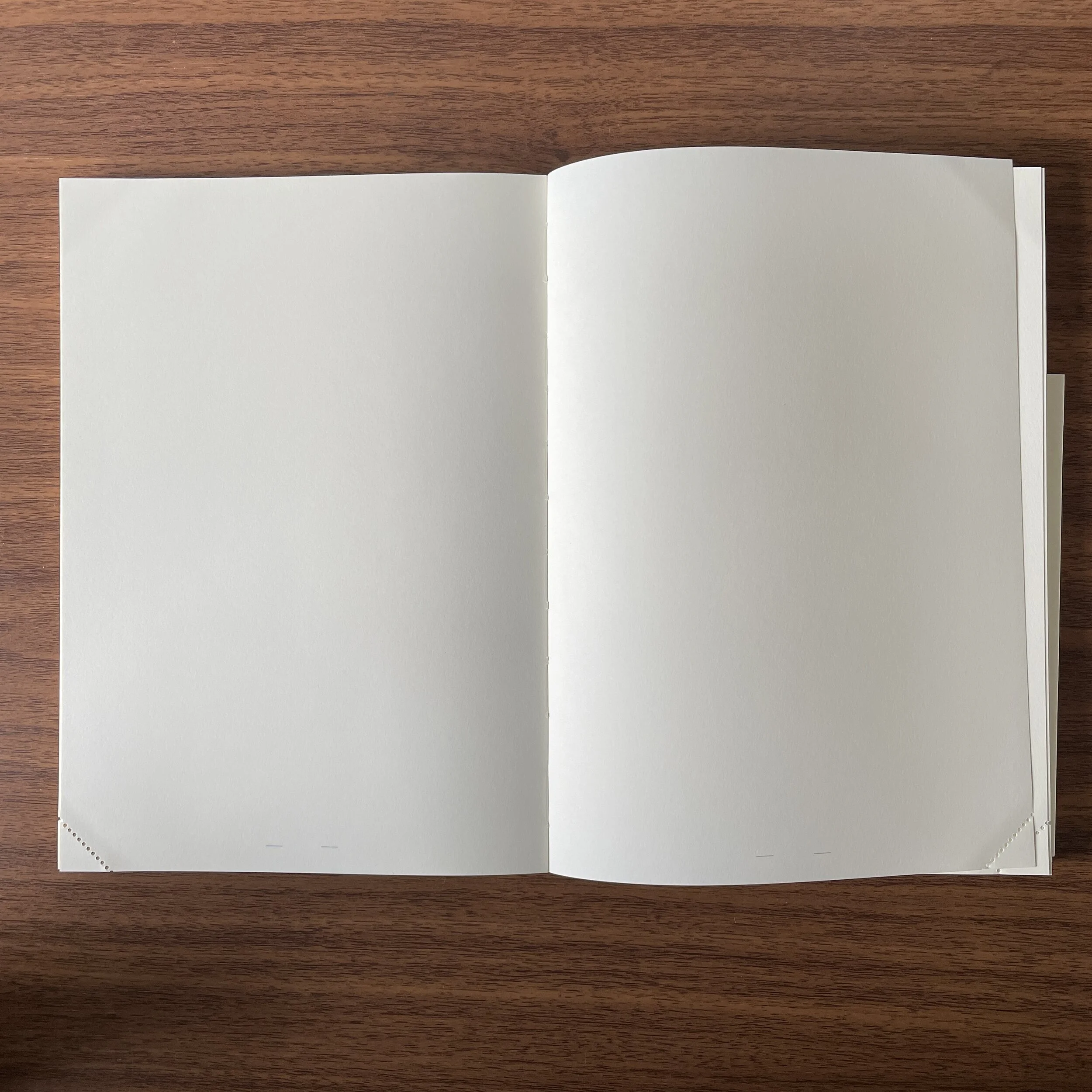 Midori MD Notebook Journal Codex Blank