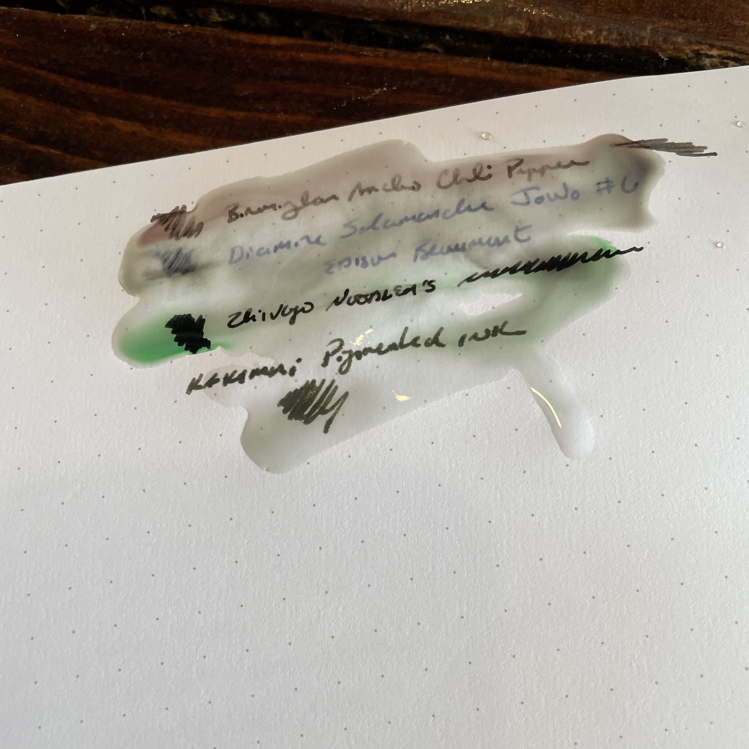 Water-Resistance in Fountain Pen Inks: How Important Is It Anyway? — The  Gentleman Stationer