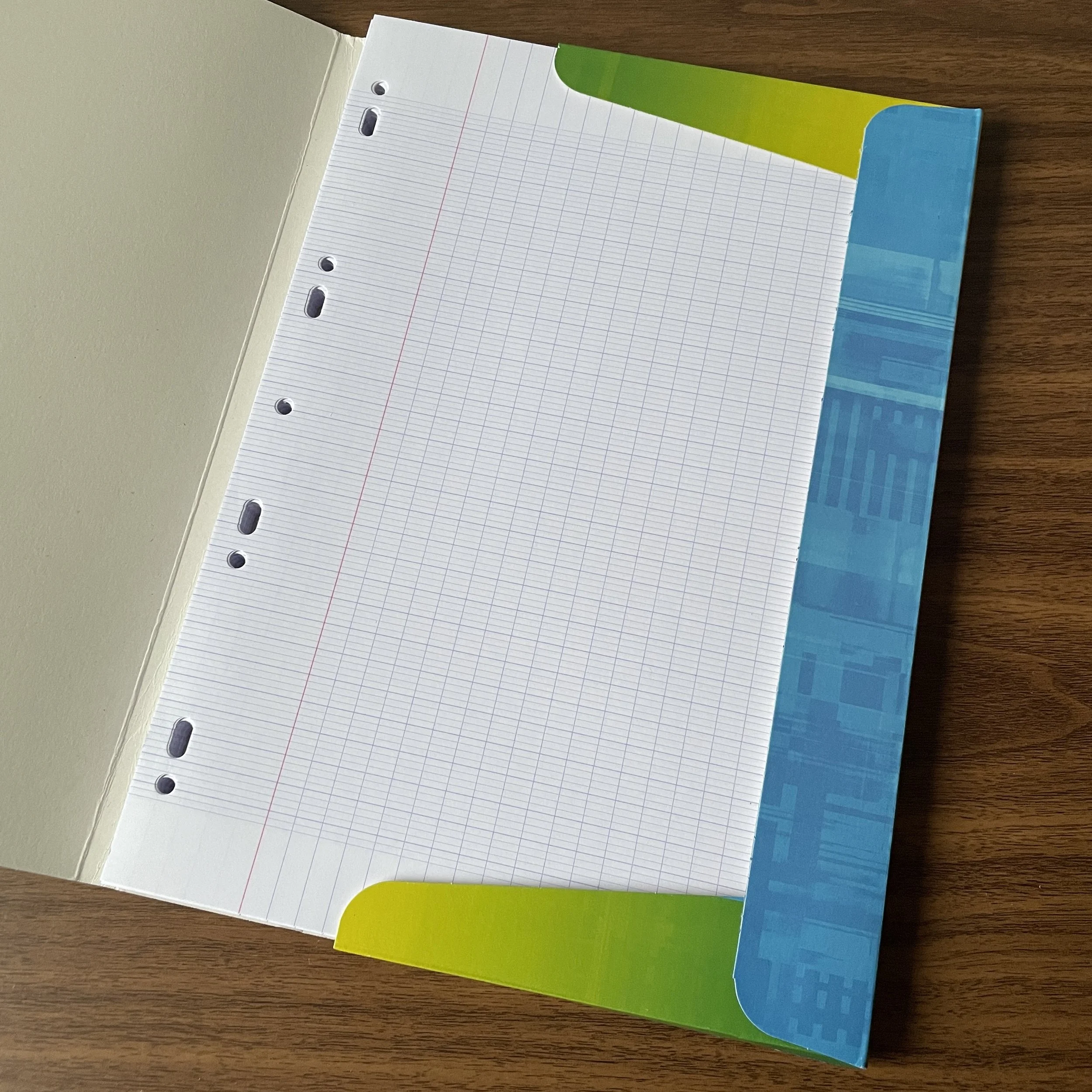 Clairefontaine Looseleaf A4 (Perforated)