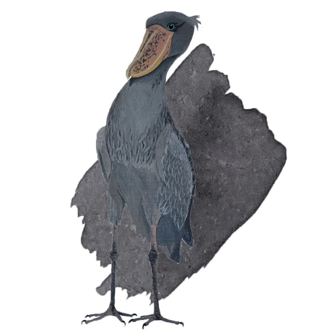 Anderillium Shoebill Stork