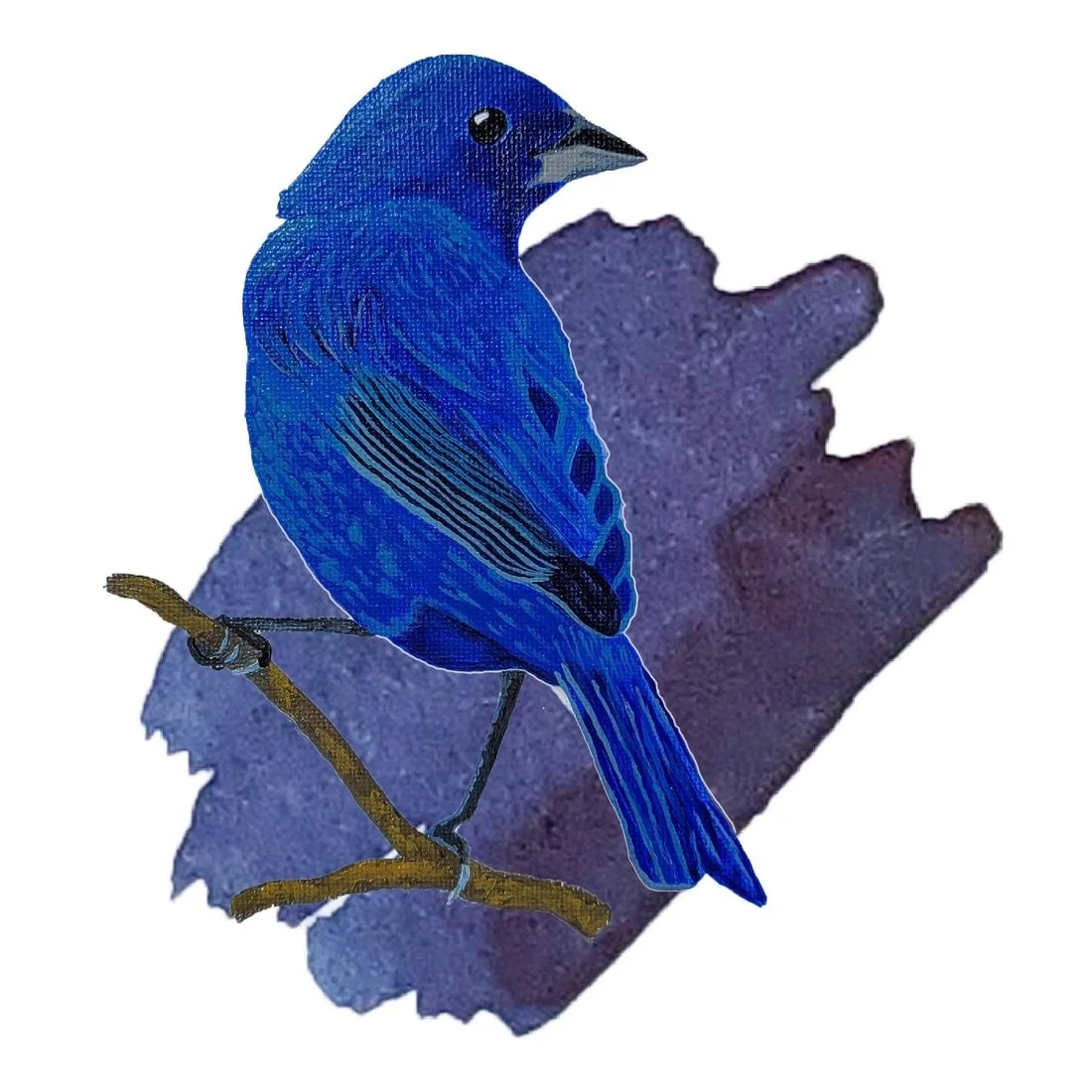 Anderillium Indigo Bunting