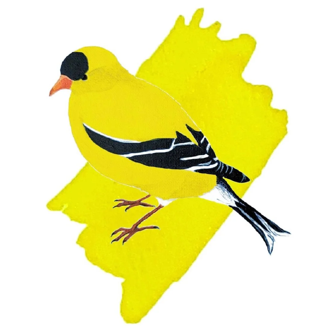 Anderillium American Goldfinch