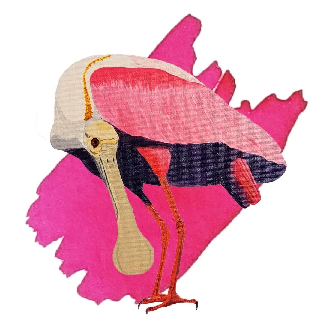 Anderillium Roseate Spoonbill