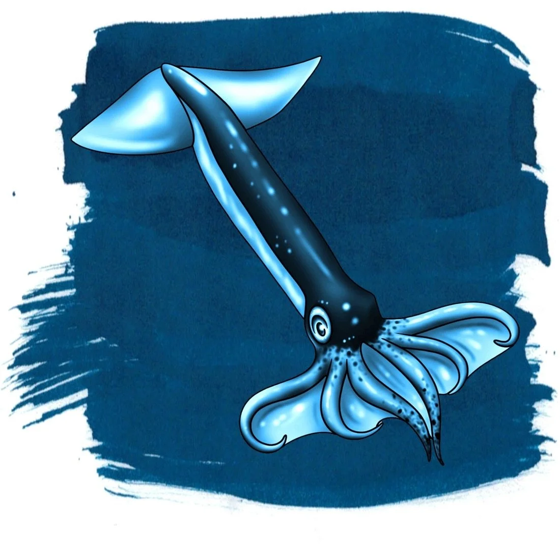 Anderillium Flying Squid