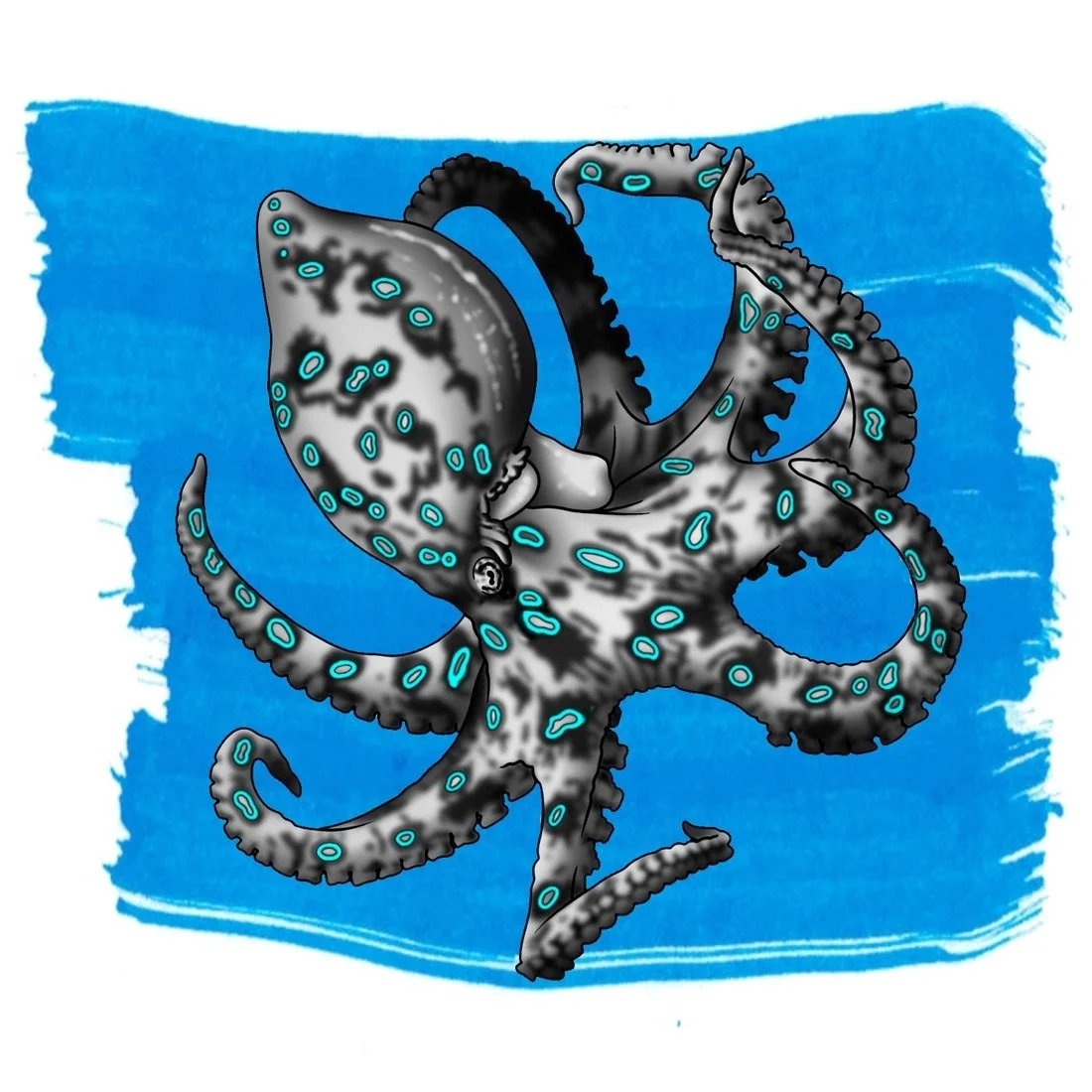 Anderillium Blue-Ringed Octopus