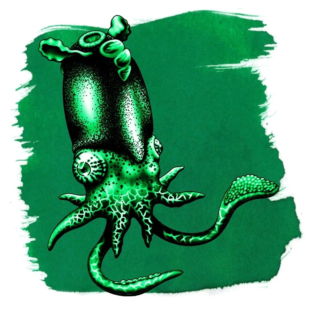 Anderillium Spirula