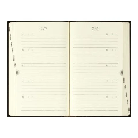 Midori MD 5-Year Diary Interior Layout