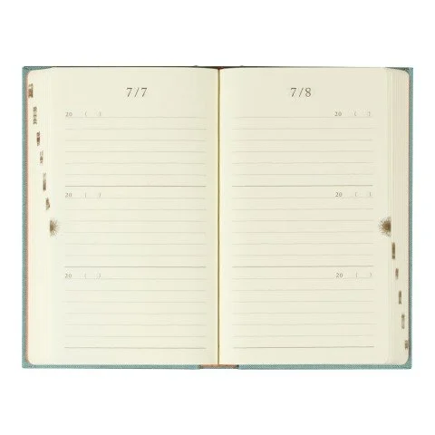 Midori MD Three-Year Diary Layout