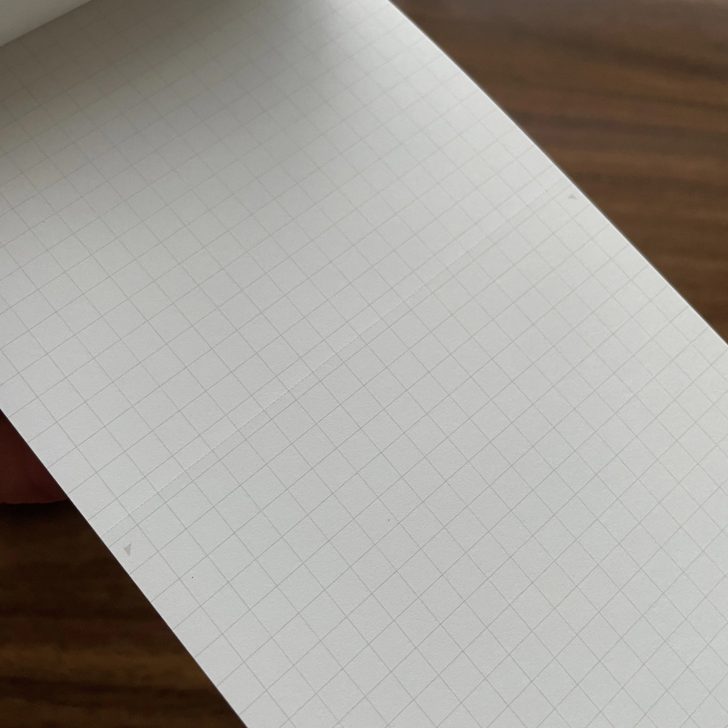 Maruman Mnemosyne N177A Perforated