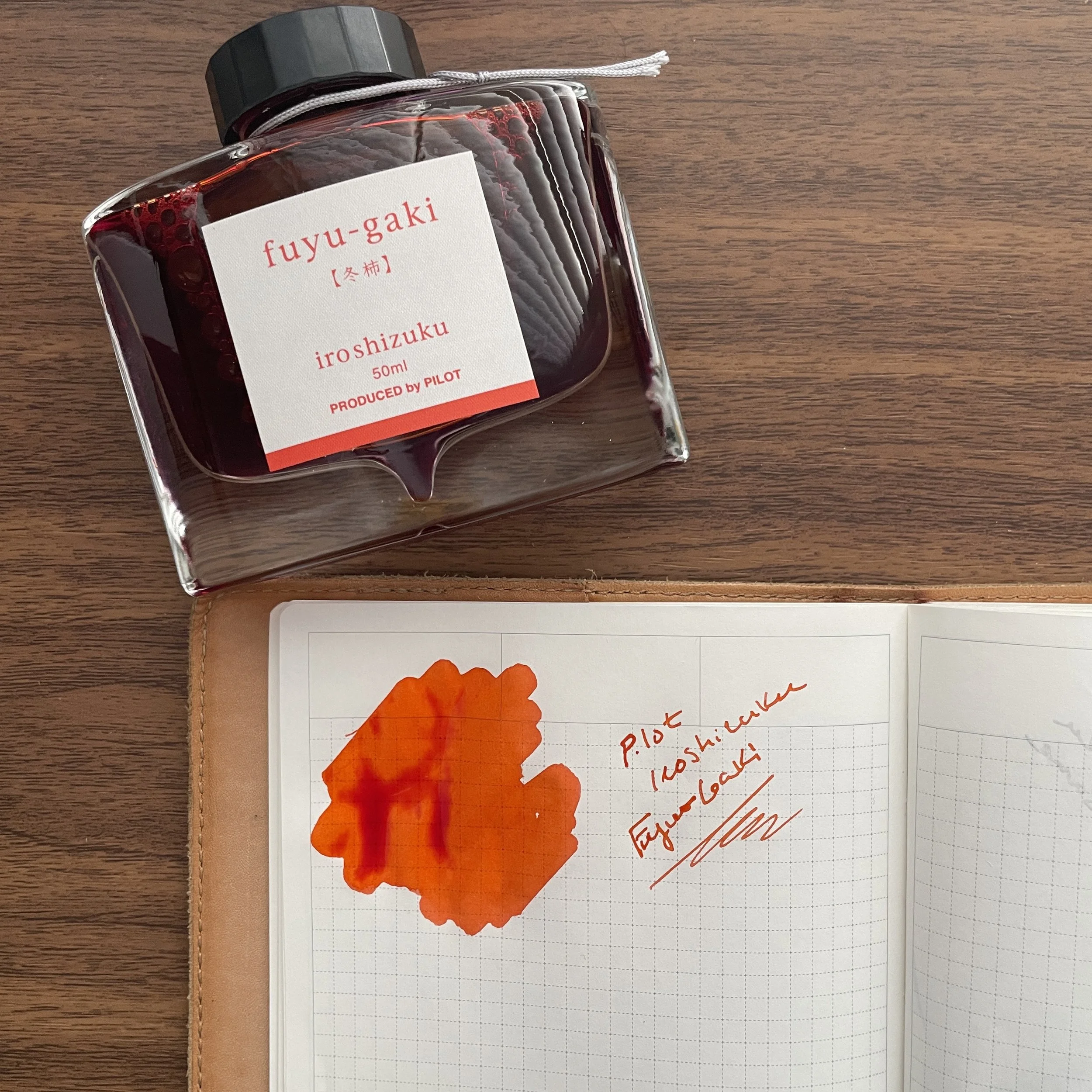 Pilot Iroshizuku Fuyu-Gake (Swatch)