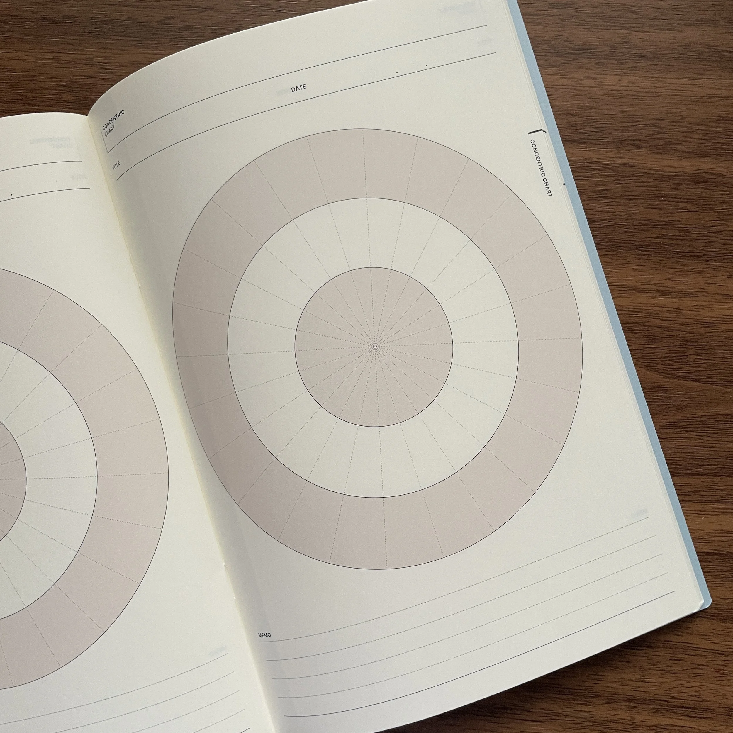 Laconic Style A5 Think Spiral (Copy)