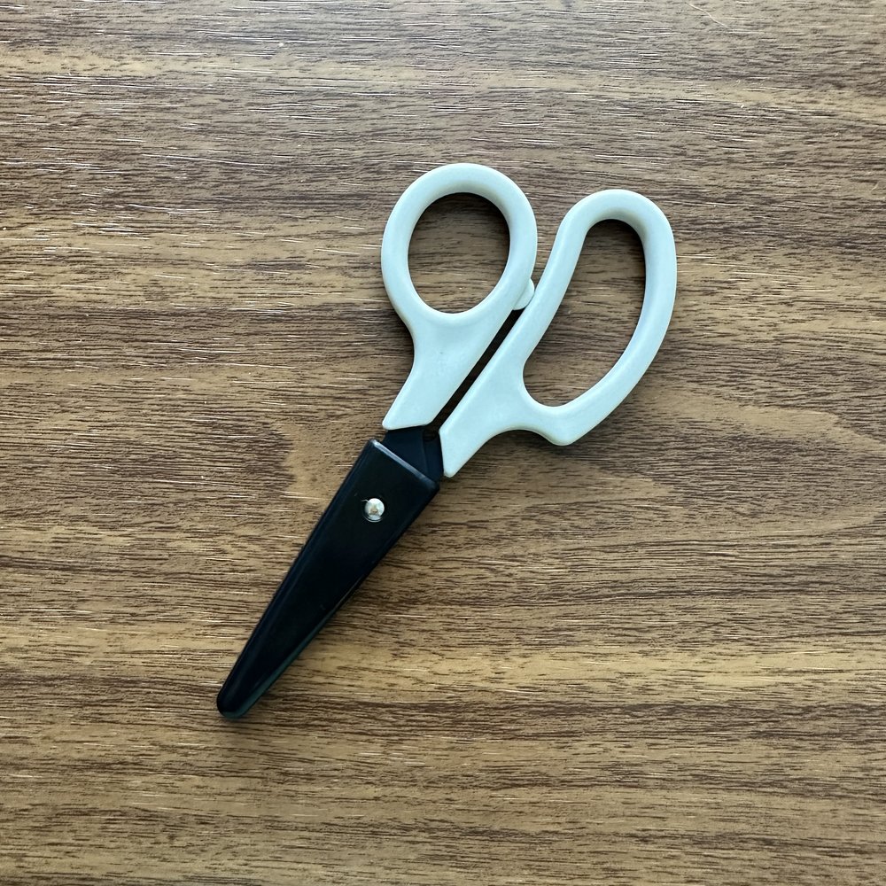 Small Sharp Scissors 