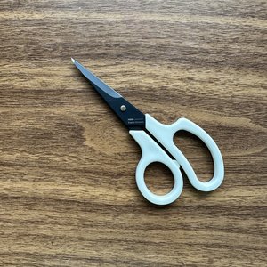 Allex Slim 100 Stainless Steel Scissors (Fluorine Coating) — The Gentleman  Stationer