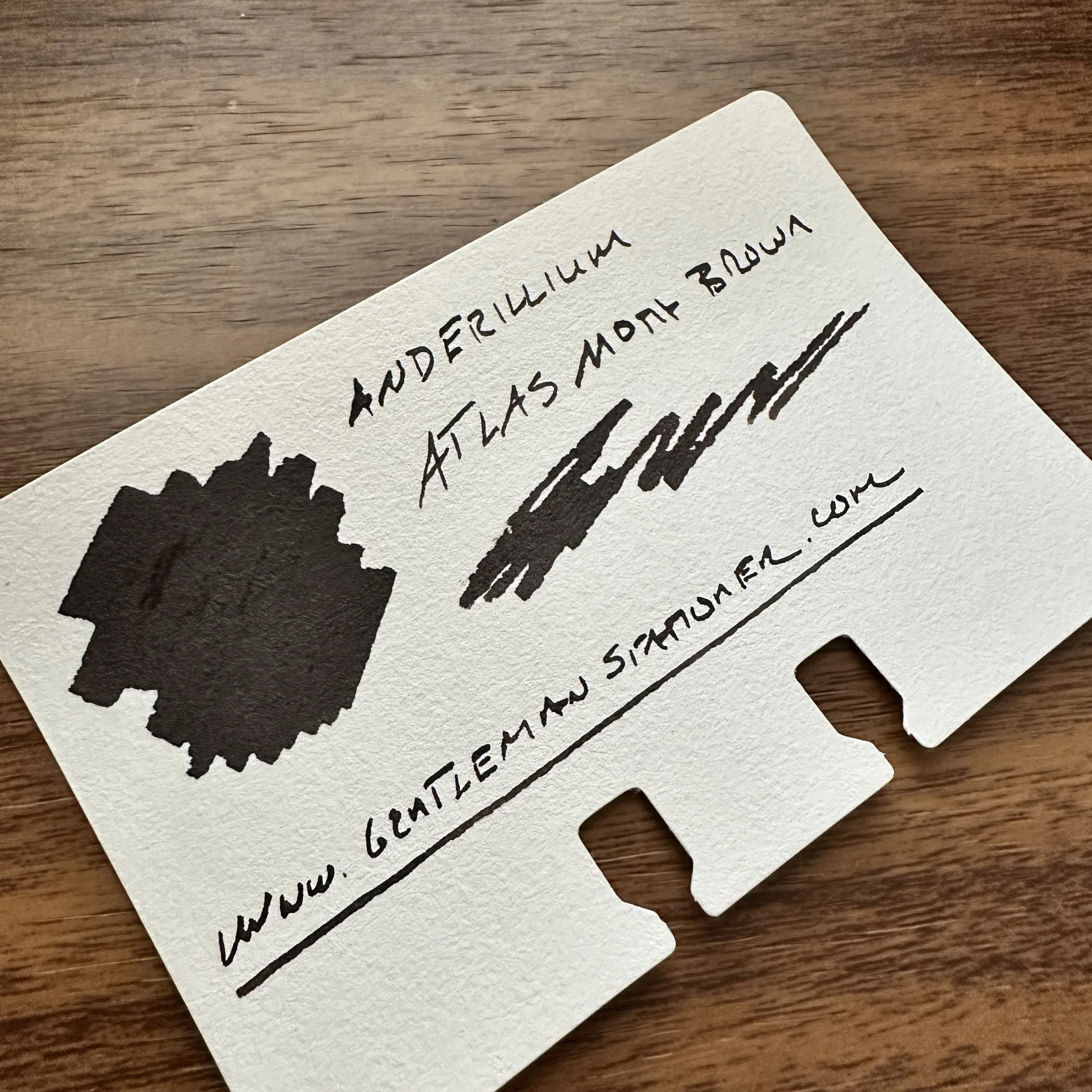 Anderillium Atlas Moth Brown