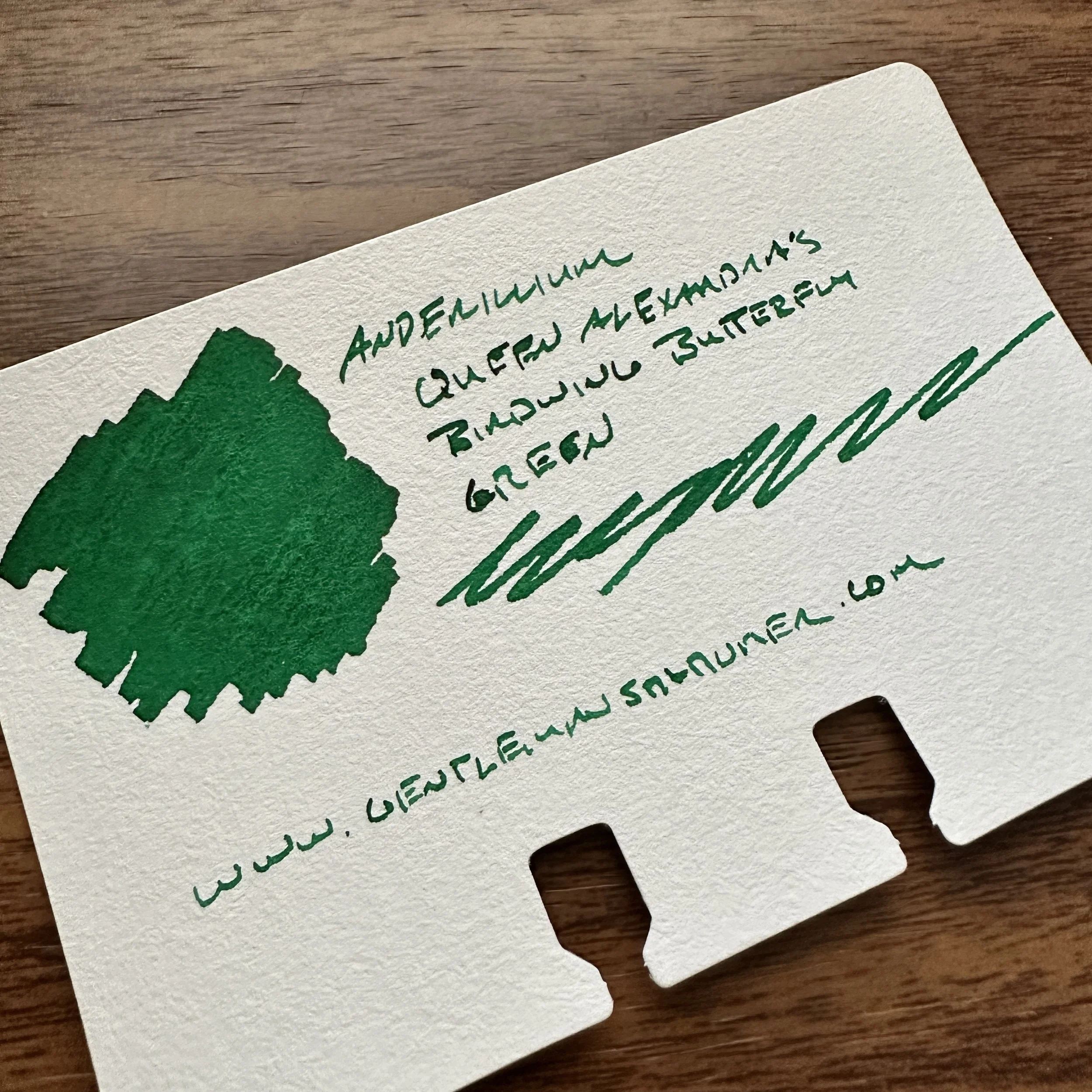 Anderillium Queen Alexandra's Birdwing Butterfly Green