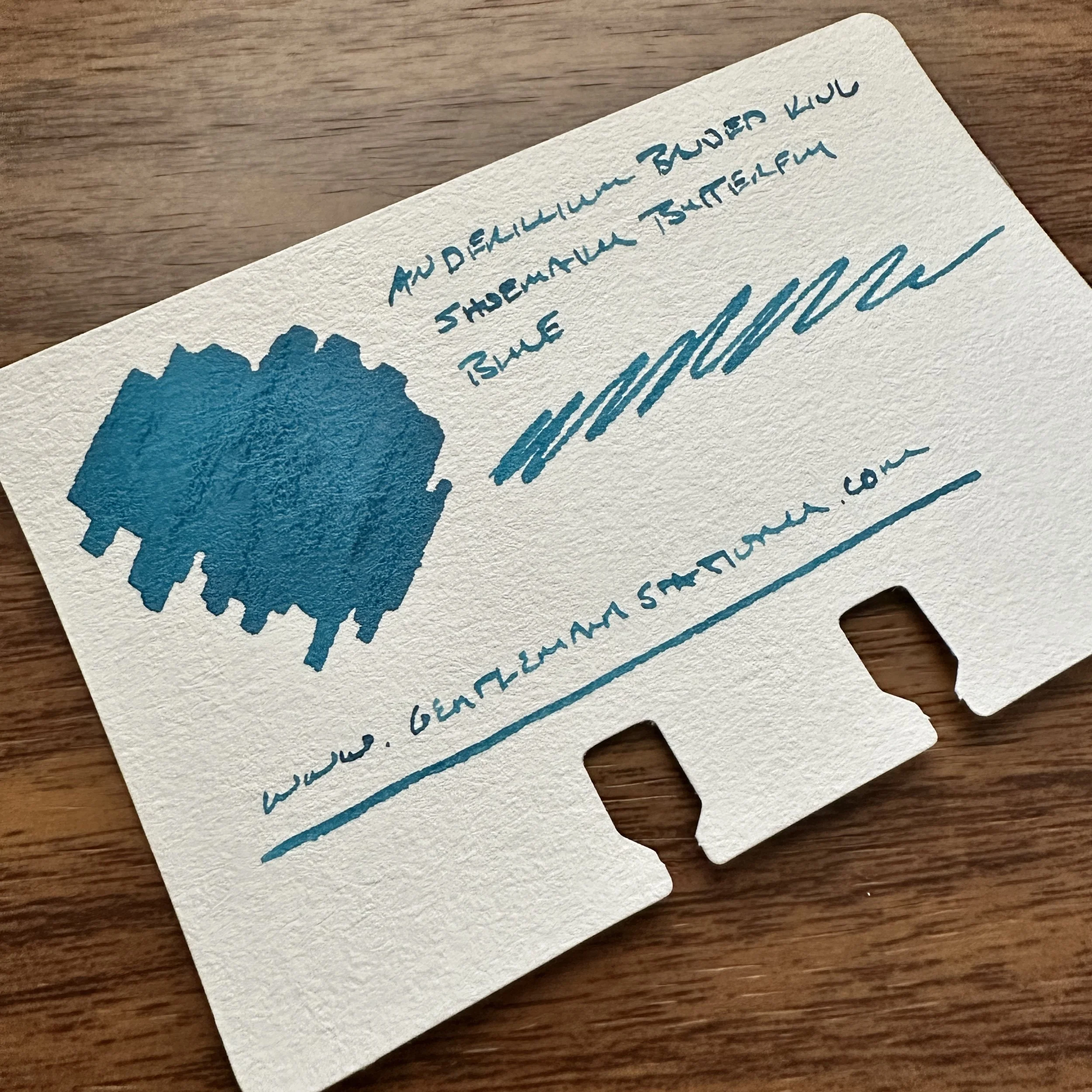 Anderillium Banded King Shoemaker Butterfly Blue