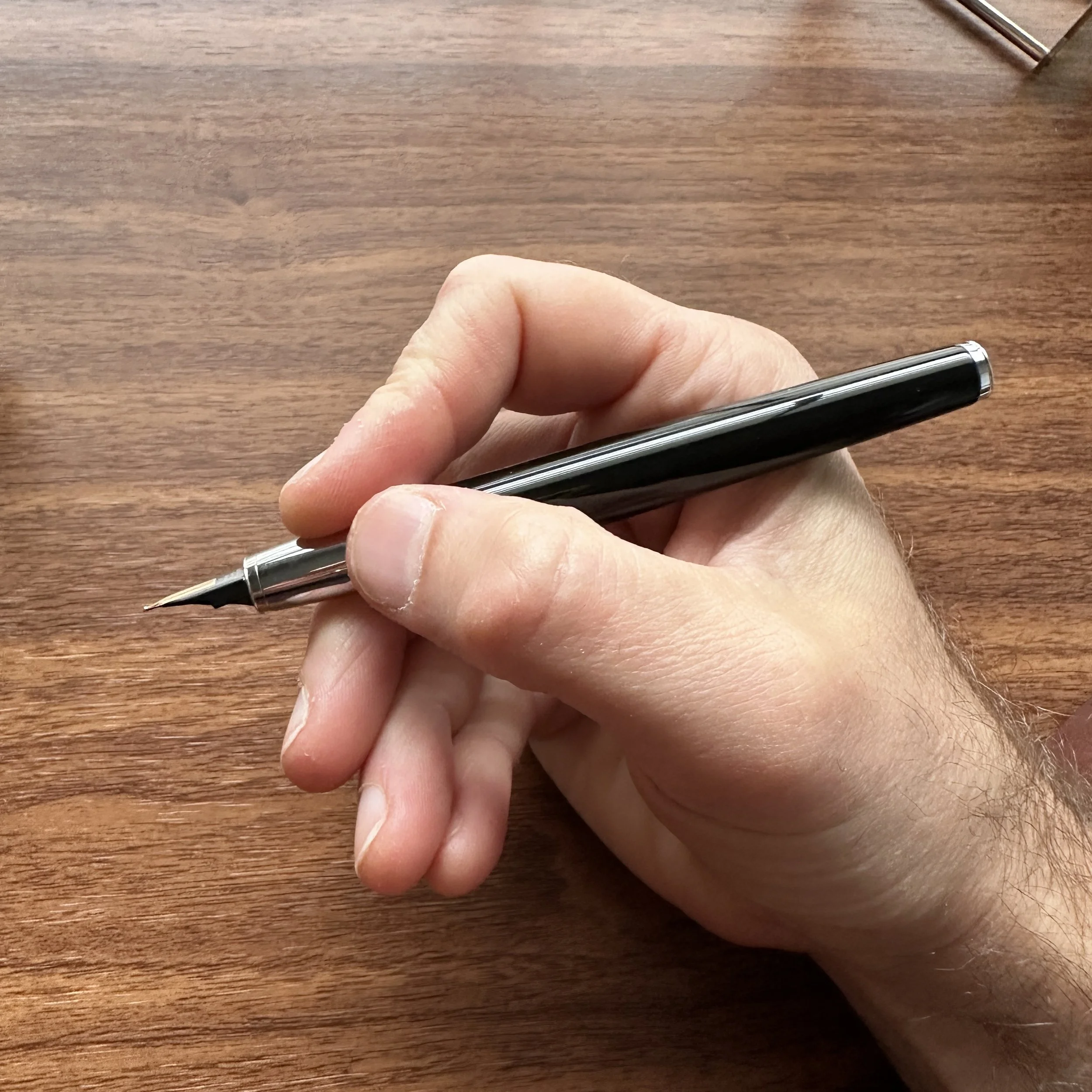 Lamy Studio Fountain Pen in hand unposted