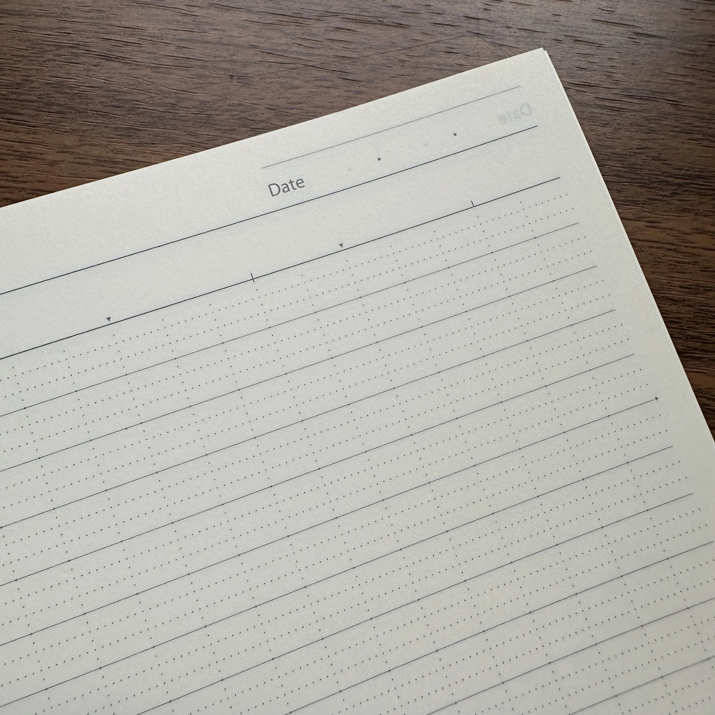 Profolio Oasis Ruling