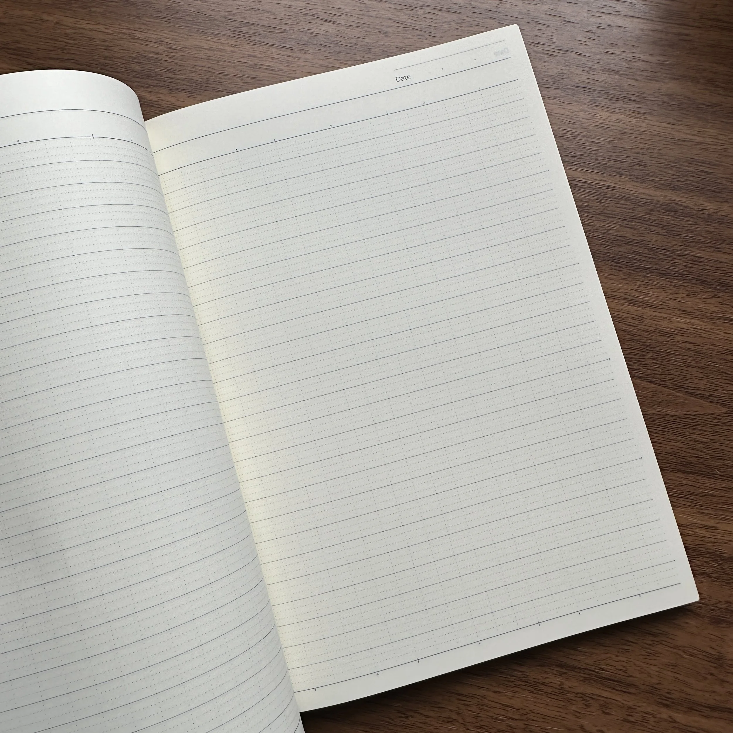 Profolio Oasis Notebooks (Ruling Close-Up)