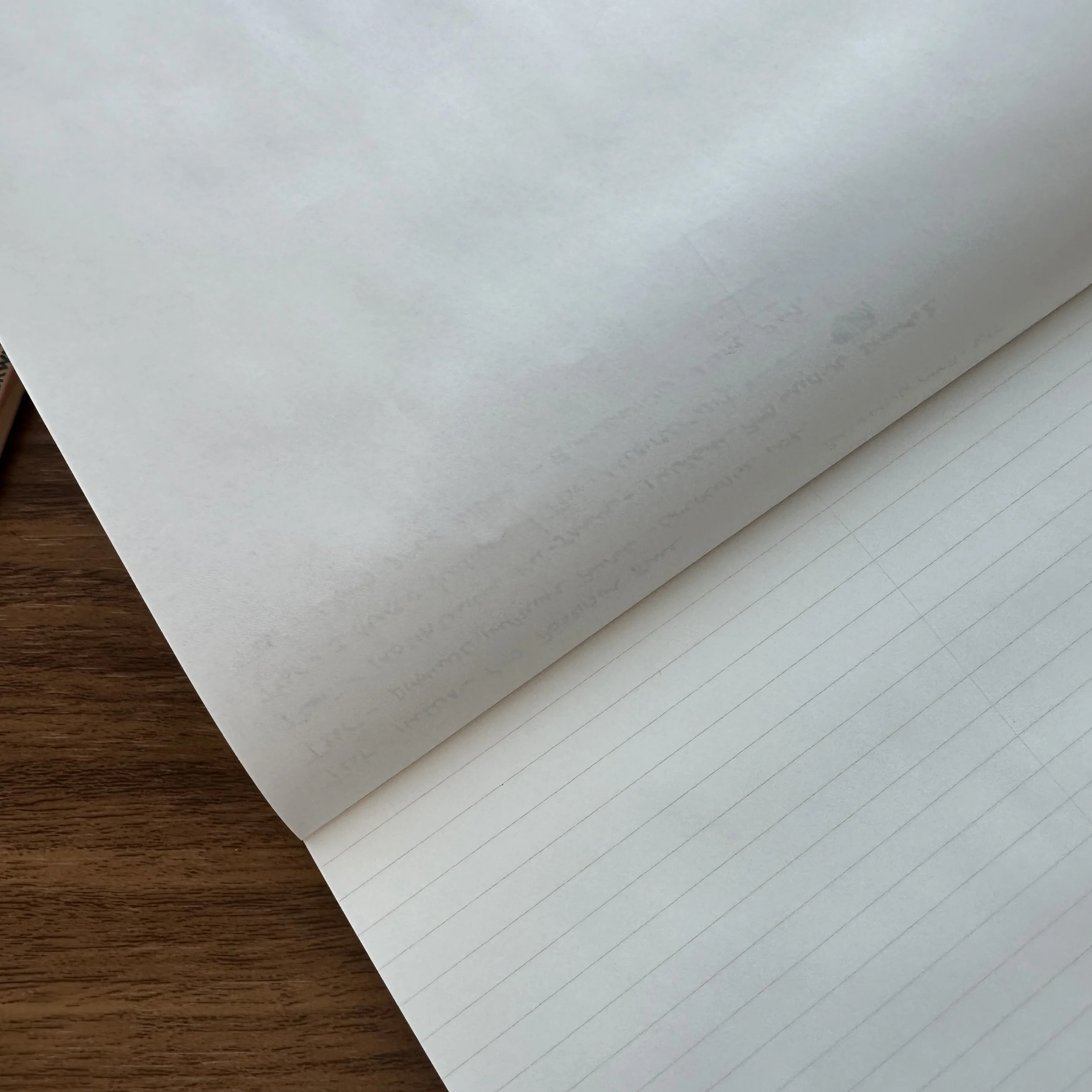 Blackwing Illegal Pad Writing Sample (Reverse No Bleed)