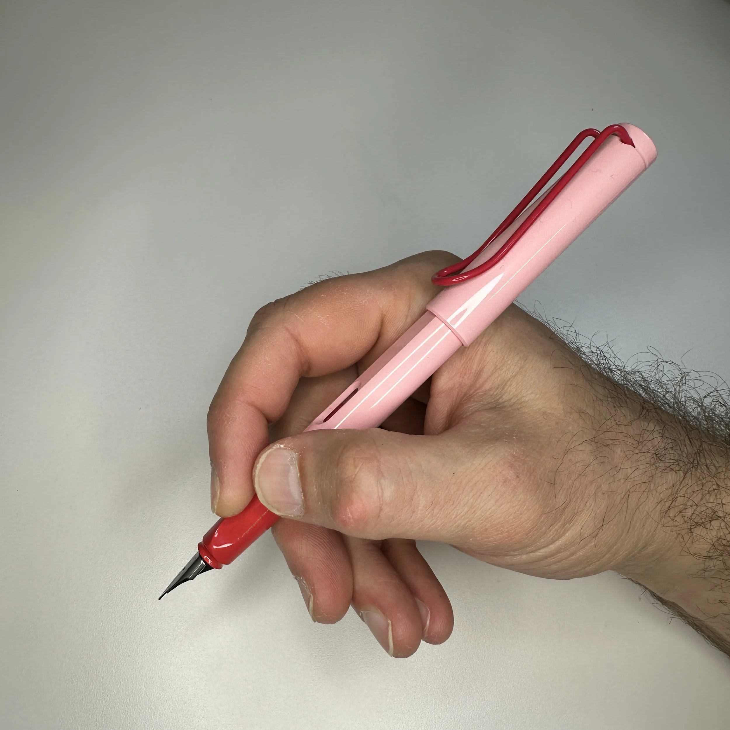 Lamy Safari Cherry Blossom Posted In-hand