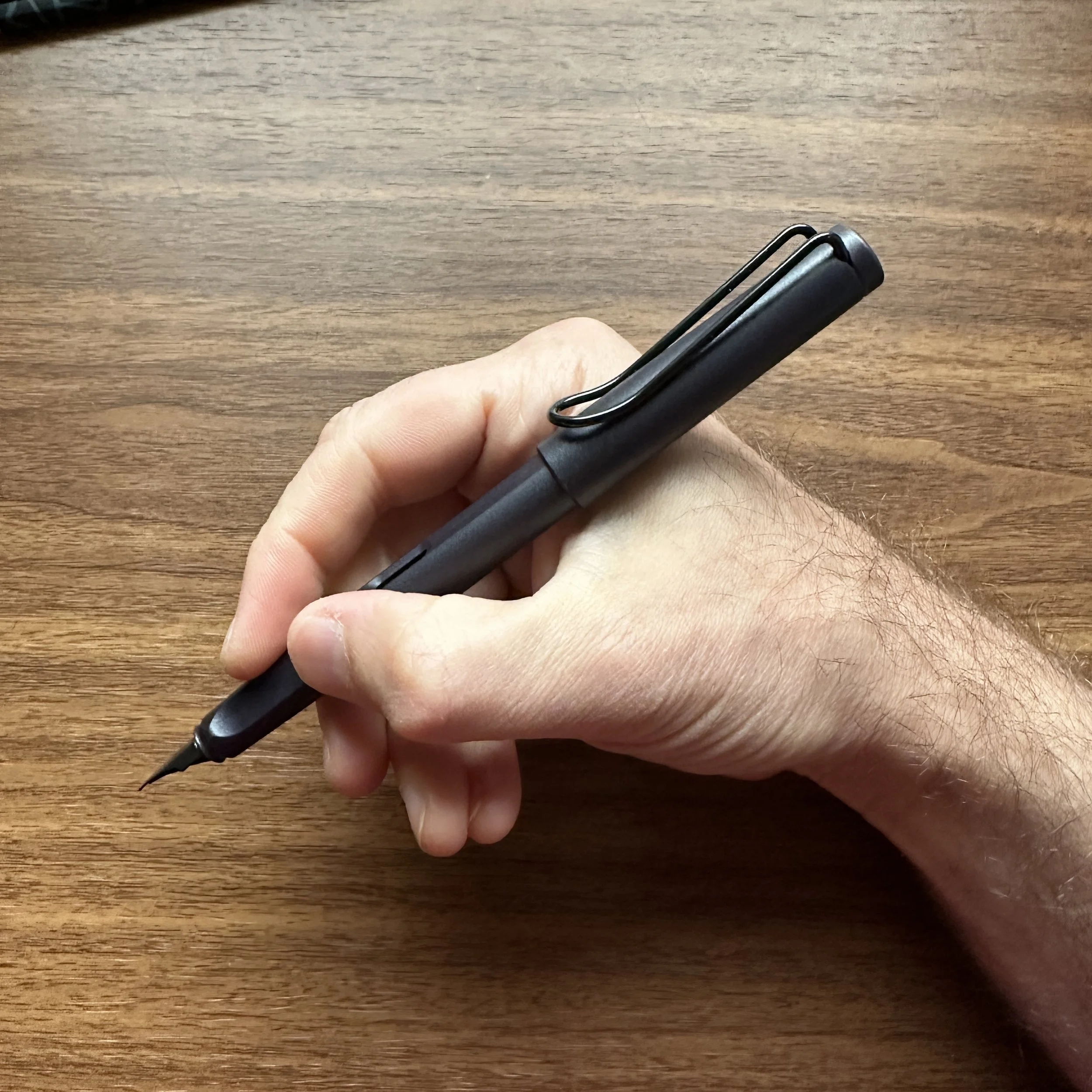 Lamy Safari Fountain Pen In-Hand (Steel Black)